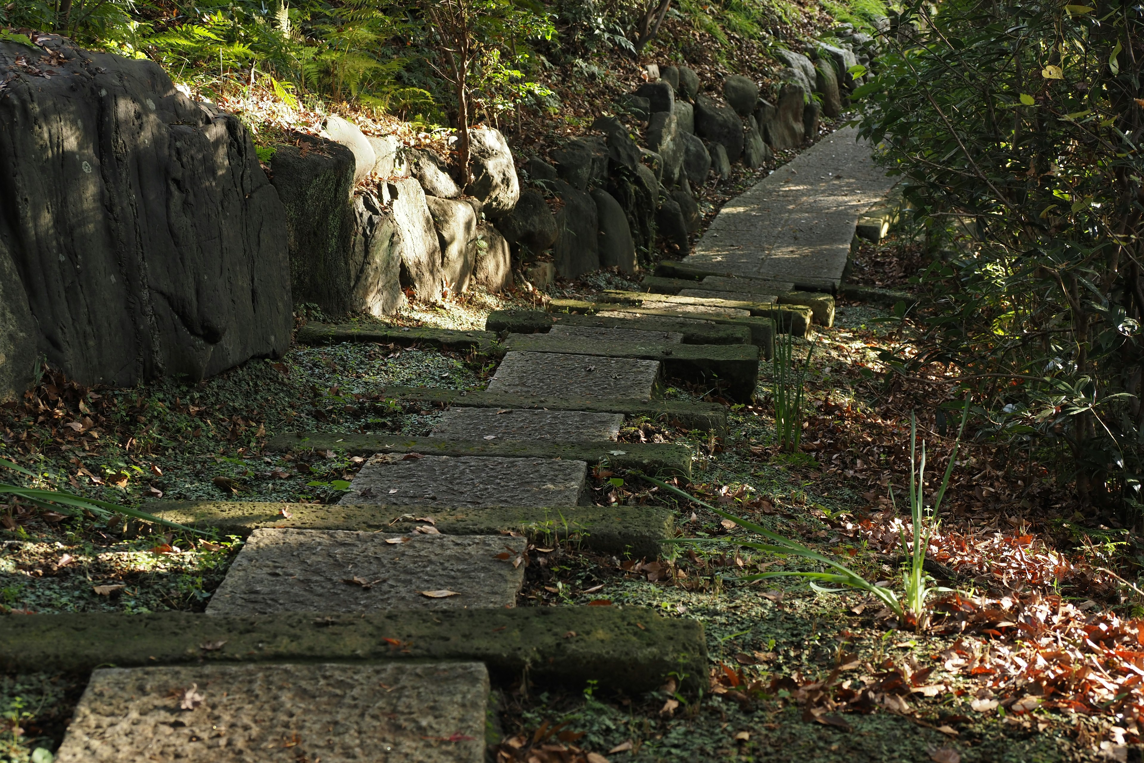 Steinweg umgeben von Grün und natürlicher Landschaft