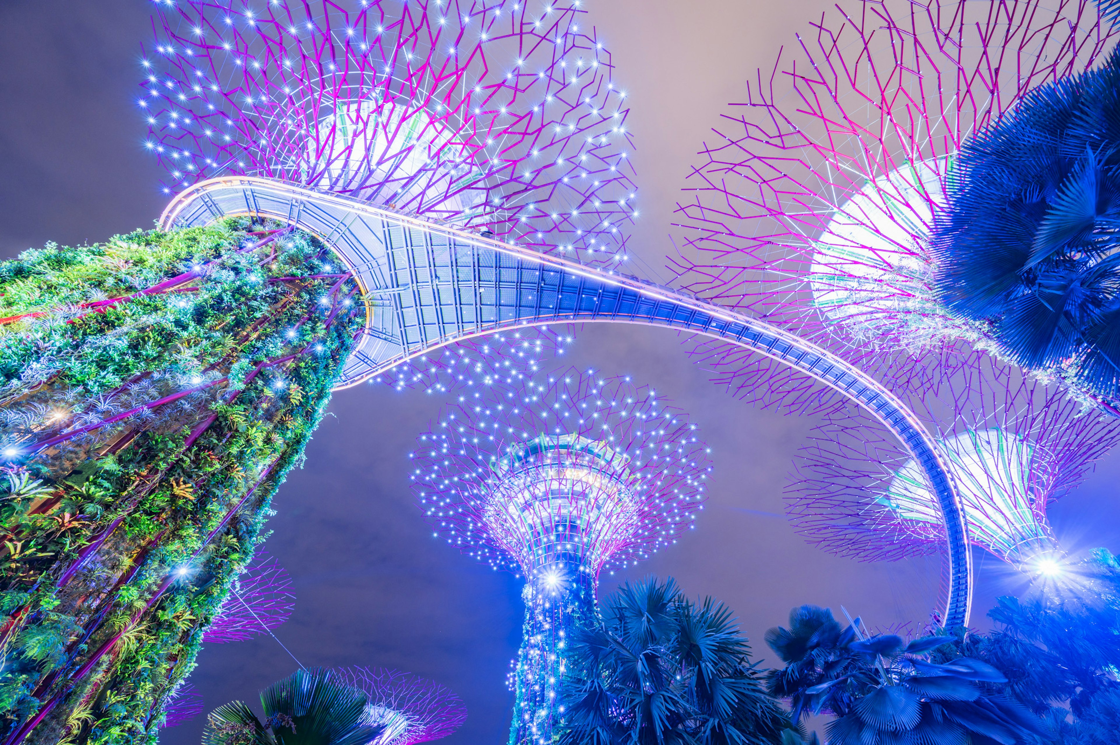 Árboles super y luces en los Jardines de la Bahía de noche