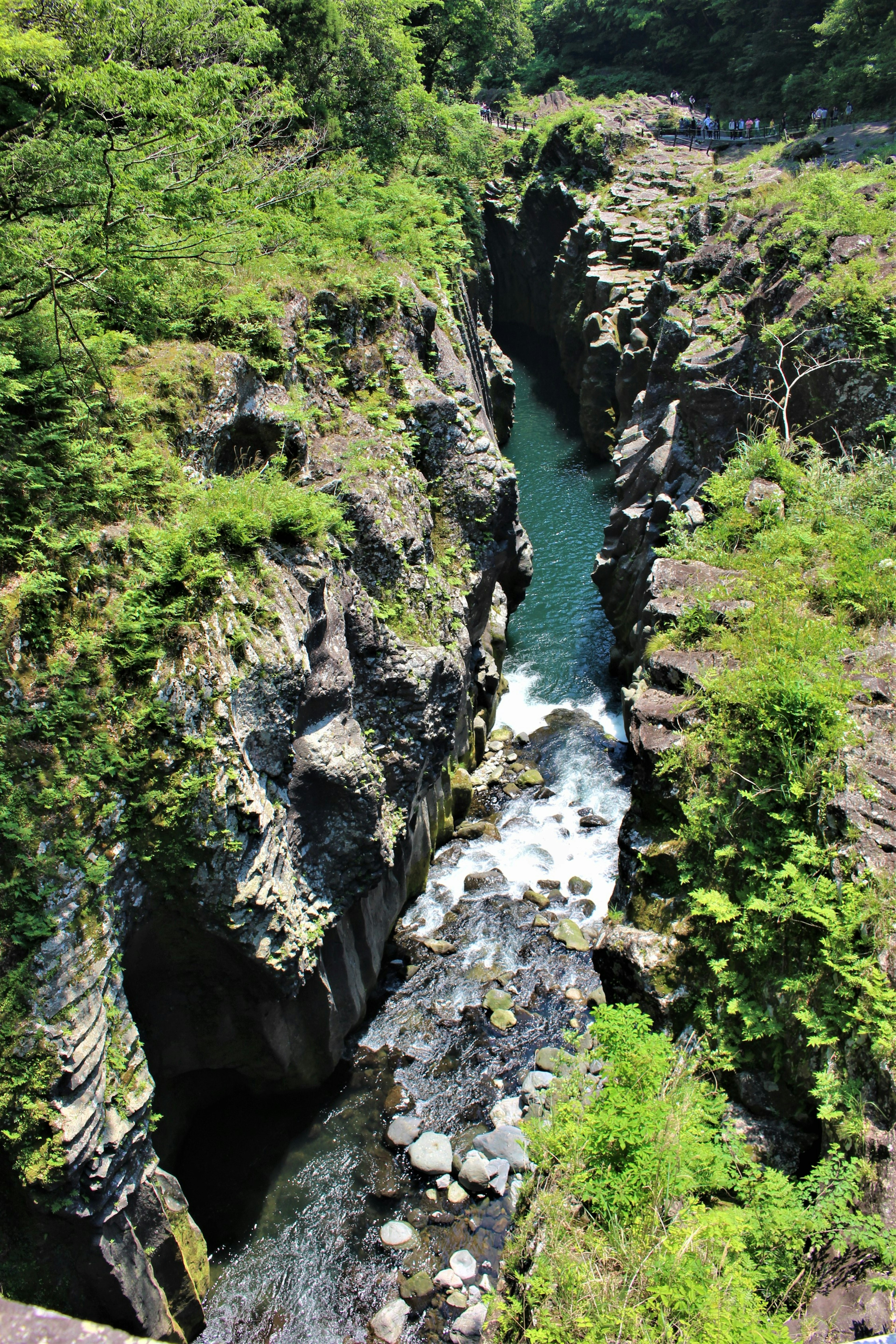 A green-covered rocky gorge with flowing water