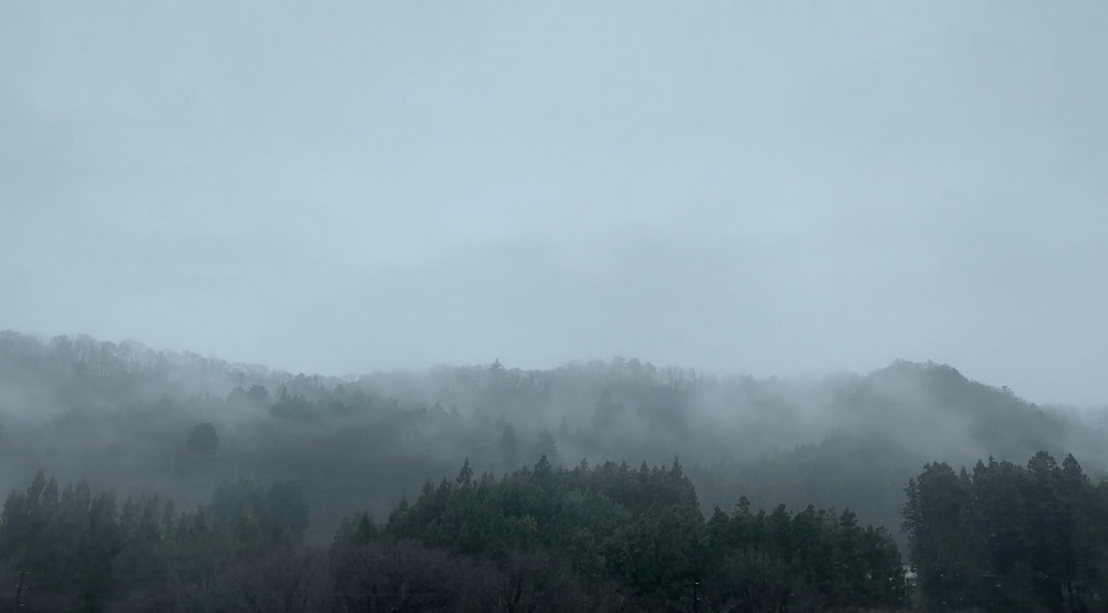 Paesaggio nebbioso con montagne e foreste dense