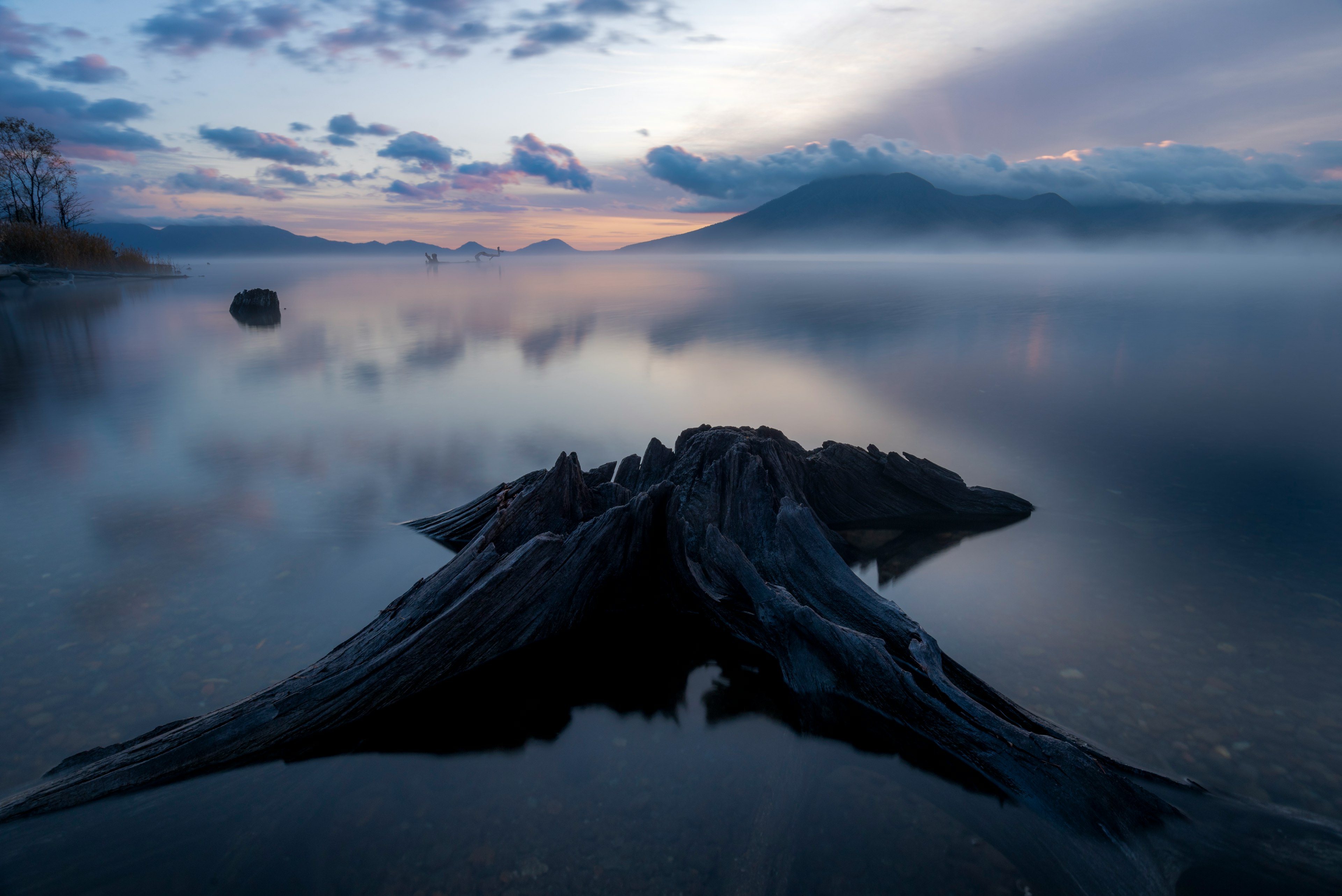 Kayu terapung di tepi danau tenang dengan gunung yang diselimuti kabut