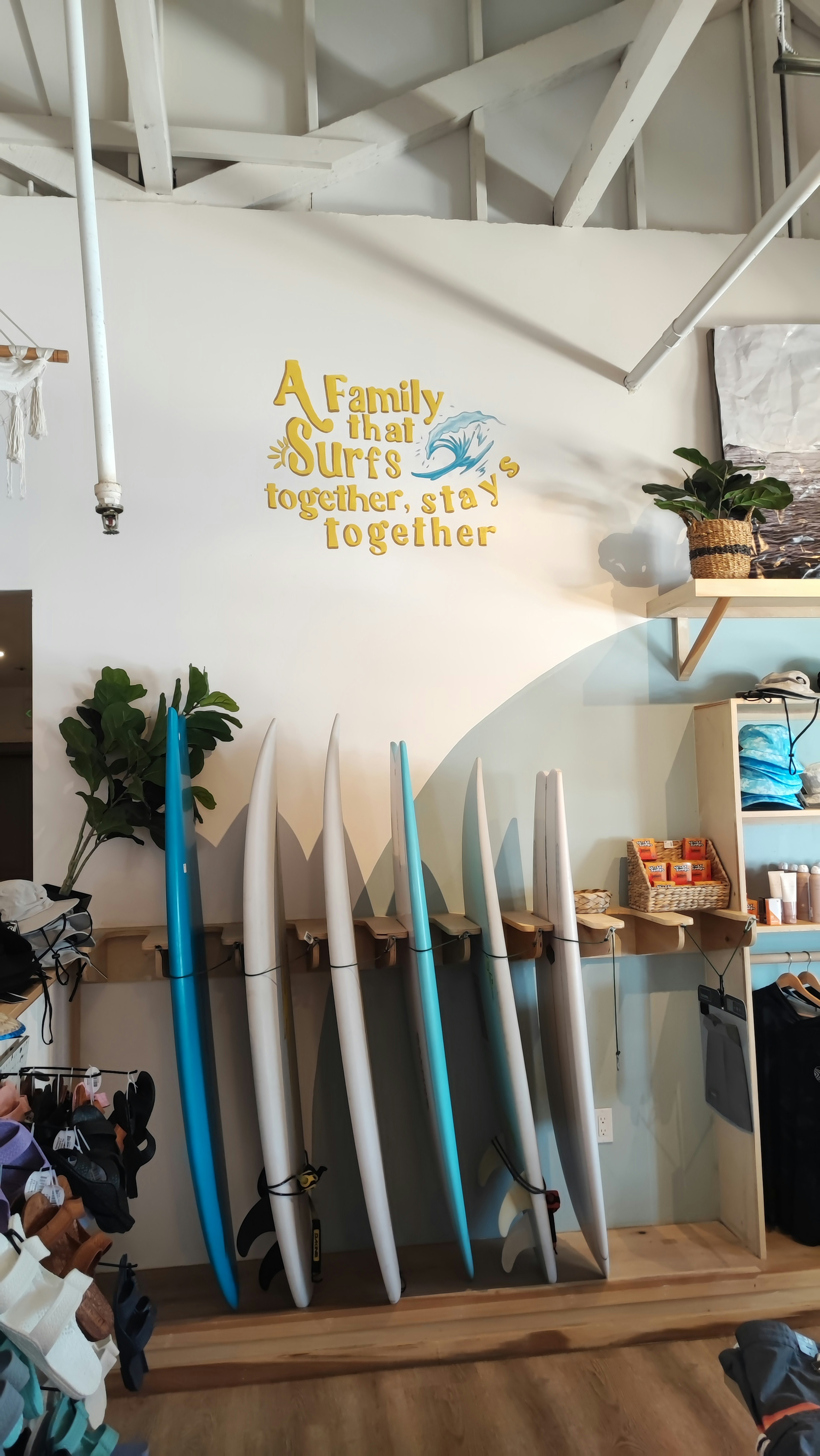 Un'esposizione di tavole da surf blu e bianche contro un muro con un'insegna decorativa e piante in un negozio