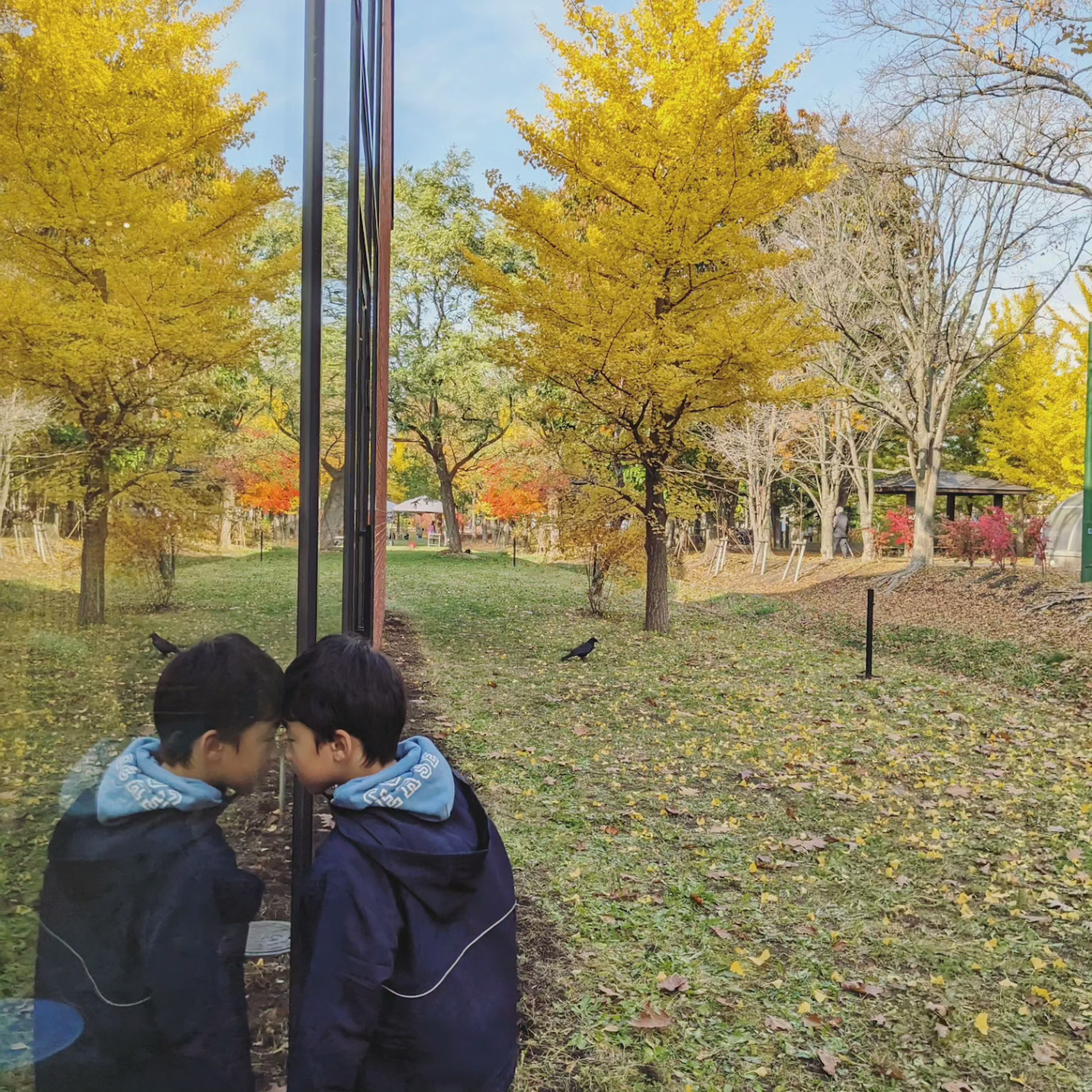 少年が鏡に映った自分を見つめる秋の公園の景色