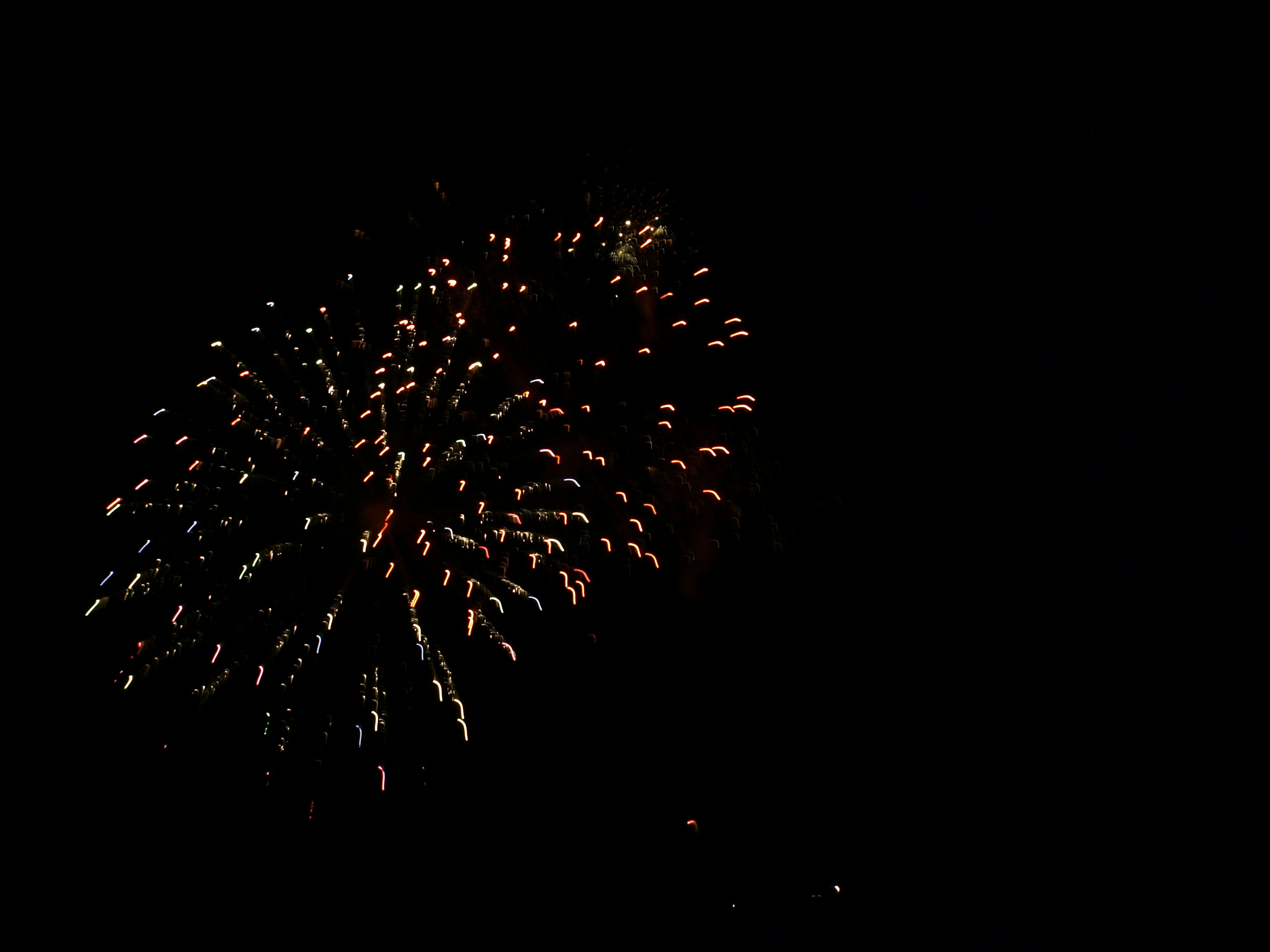 Bellissimi fuochi d'artificio esplodendo nel cielo notturno