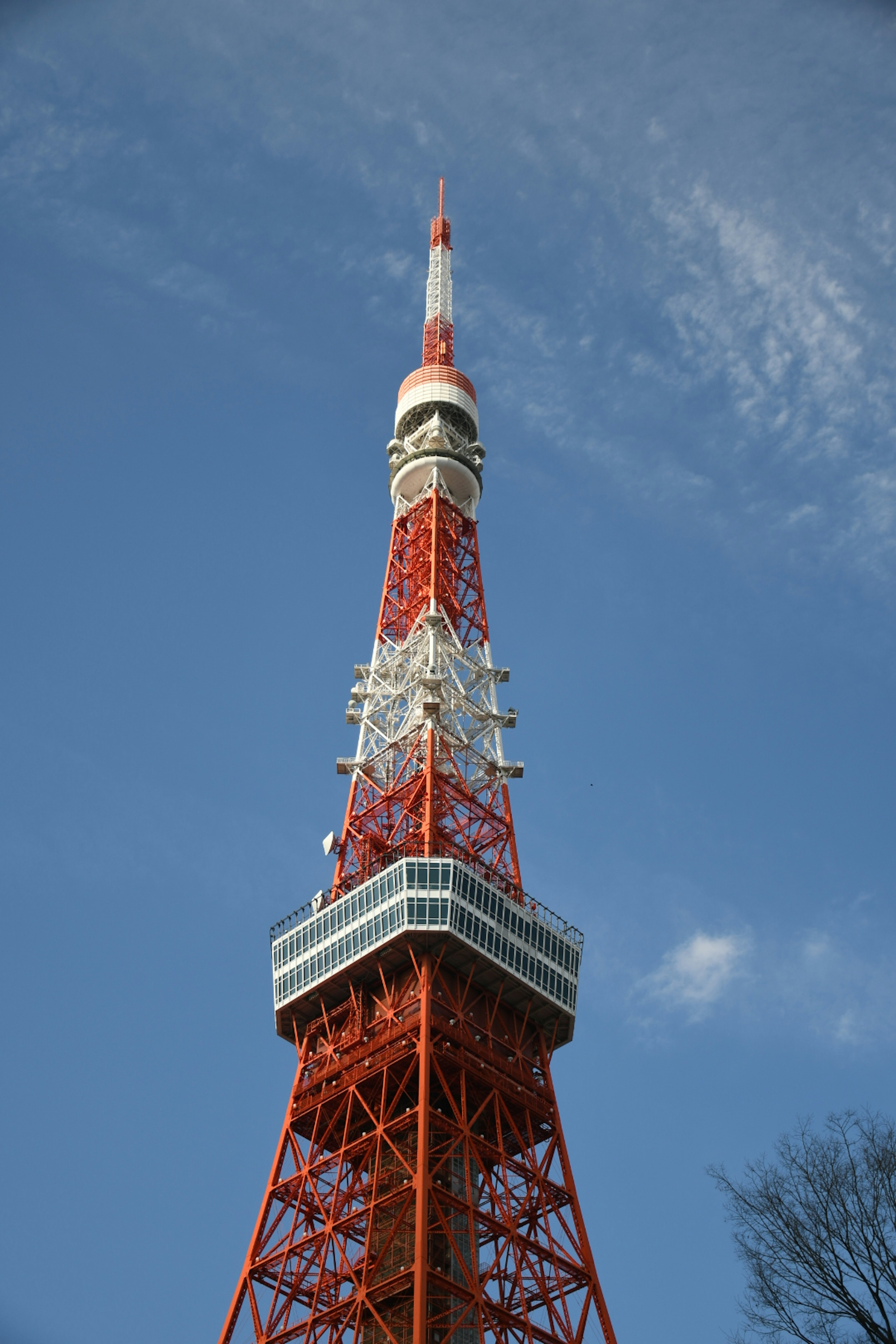 東京タワーの上部が青空の下に見える