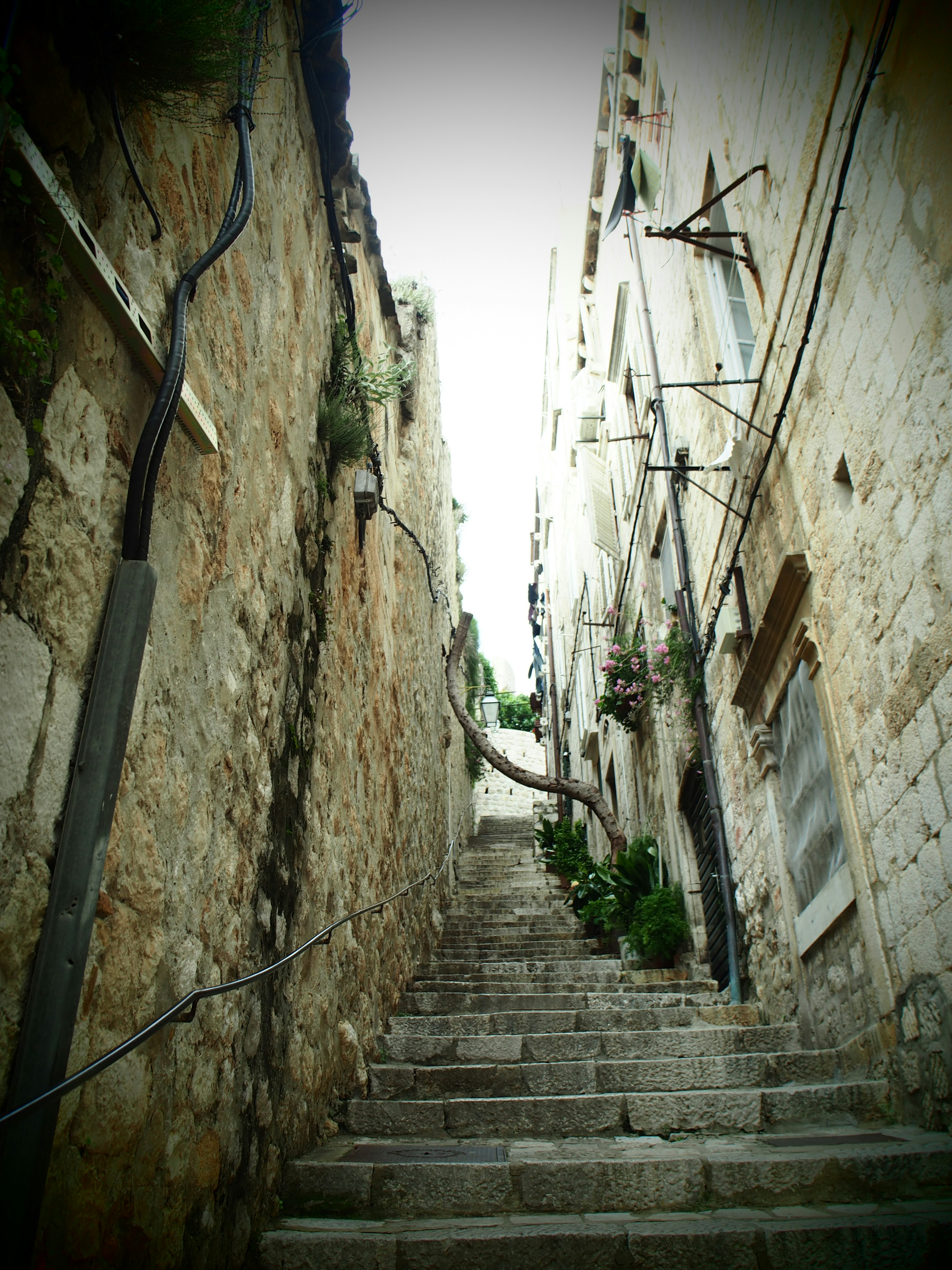 Escalier en pierre étroit menant vers le haut avec des bâtiments anciens et de la verdure