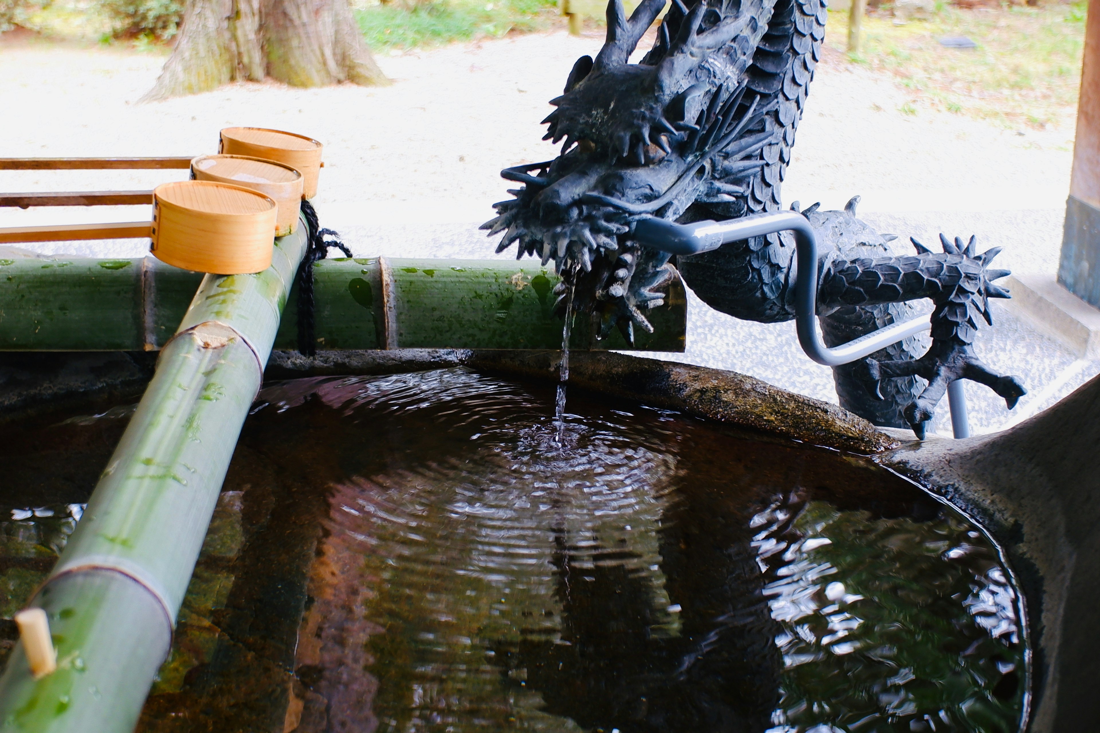 Scultura di drago nero che versa acqua in una vasca di bambù