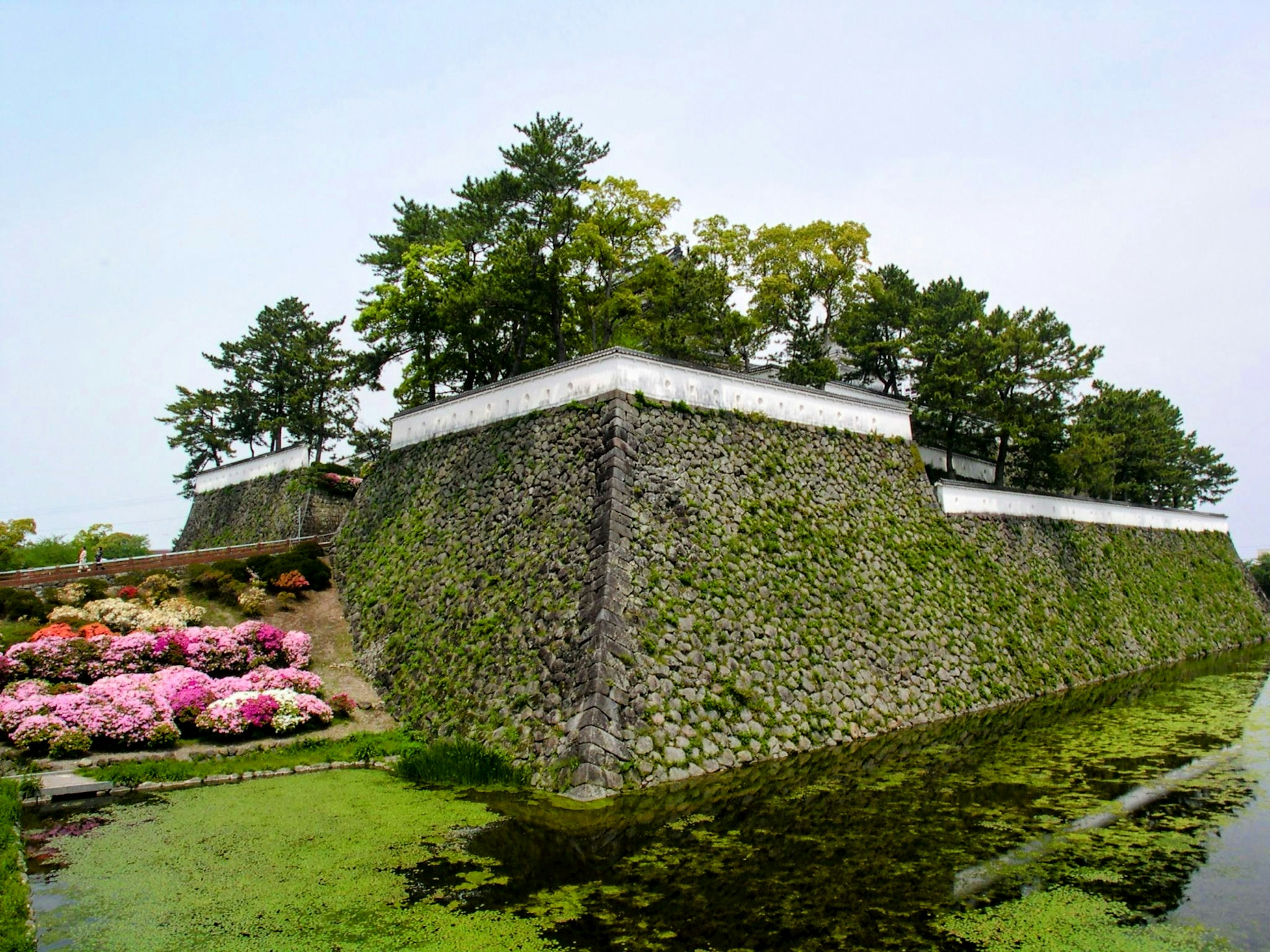 Historic castle view with stone walls and green trees