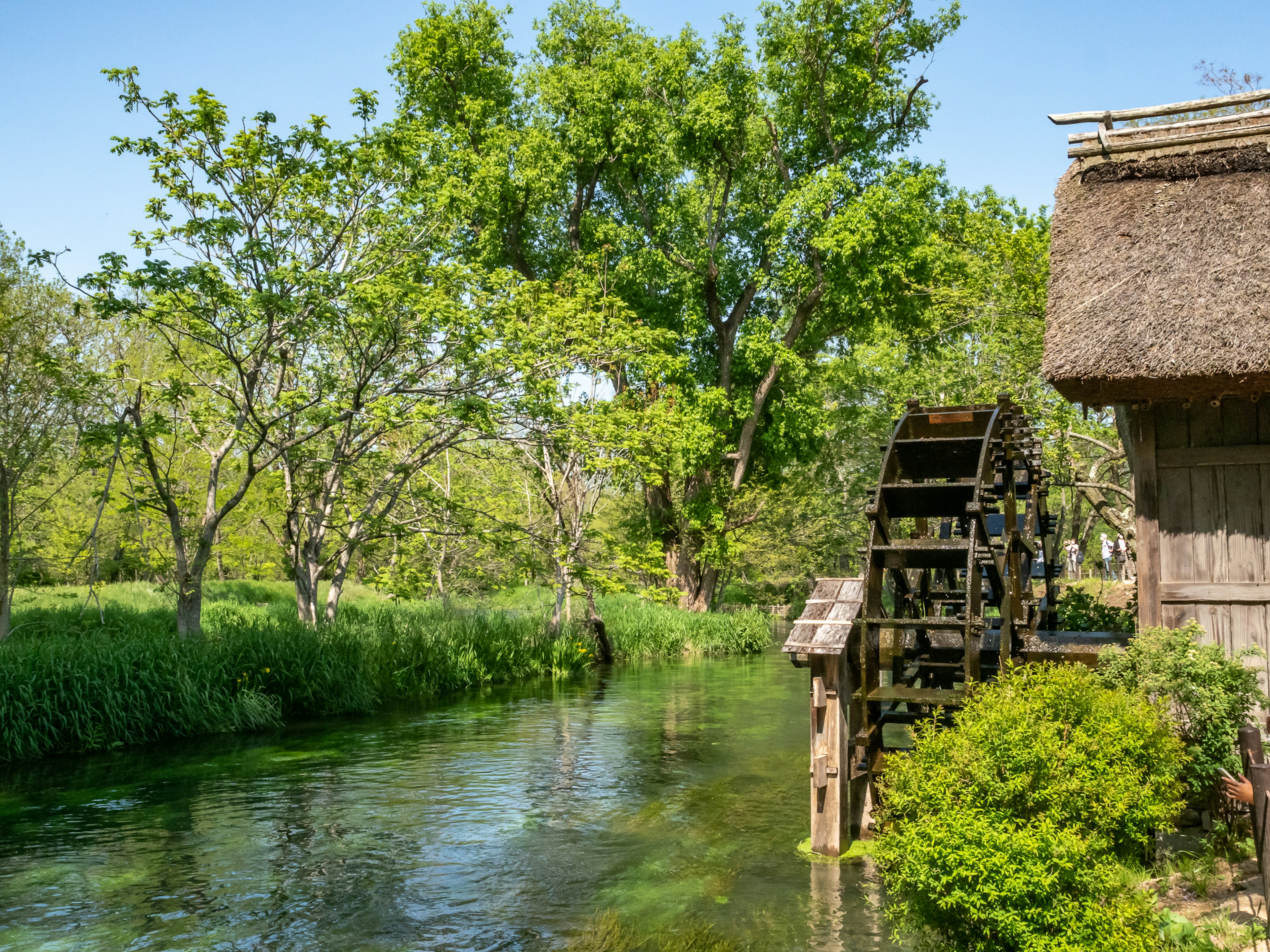 Vista escénica de una rueda de agua junto a un río tranquilo rodeado de vegetación exuberante