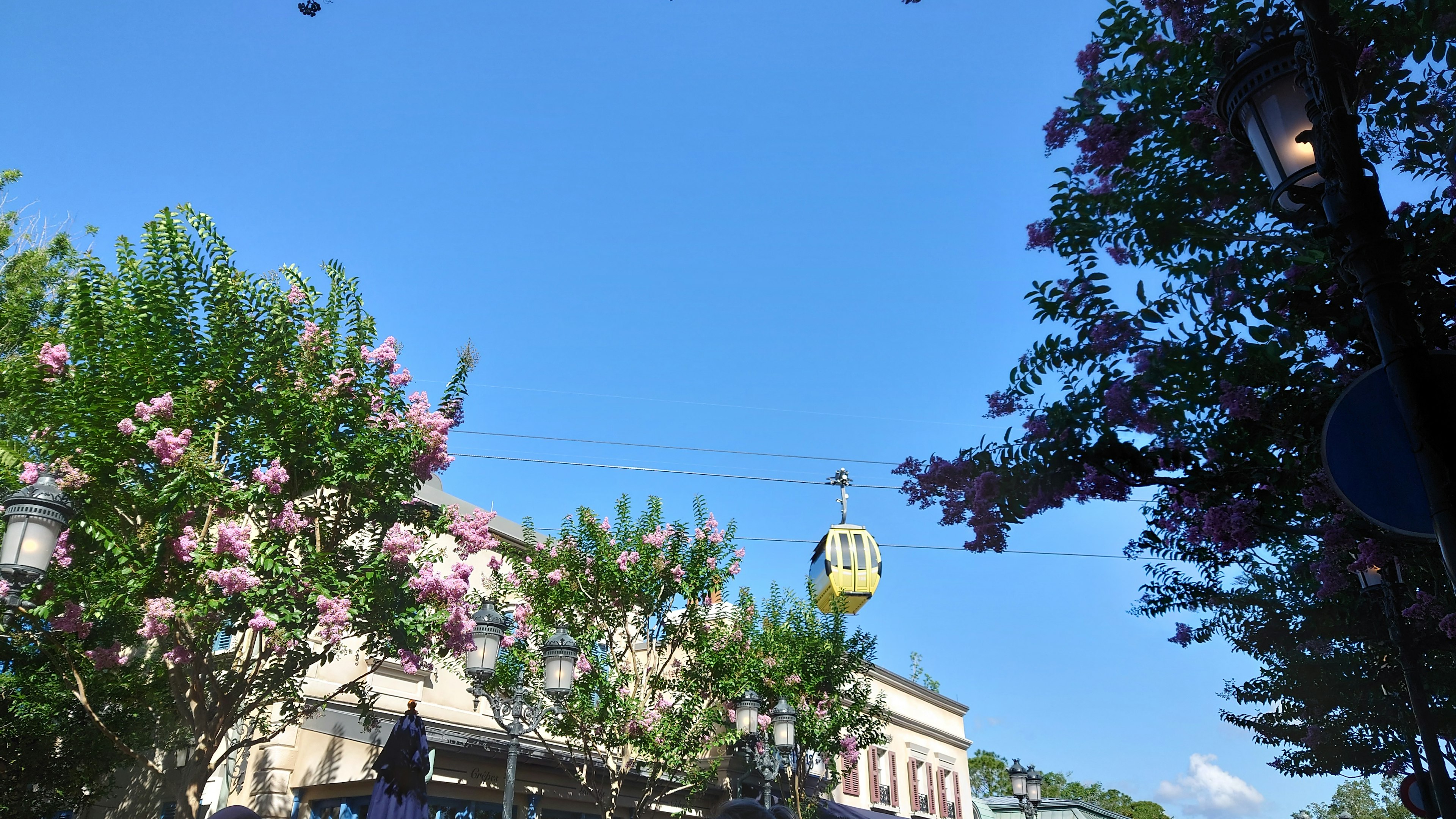 Malersicher Blick auf blühende Blumen unter einem klaren blauen Himmel