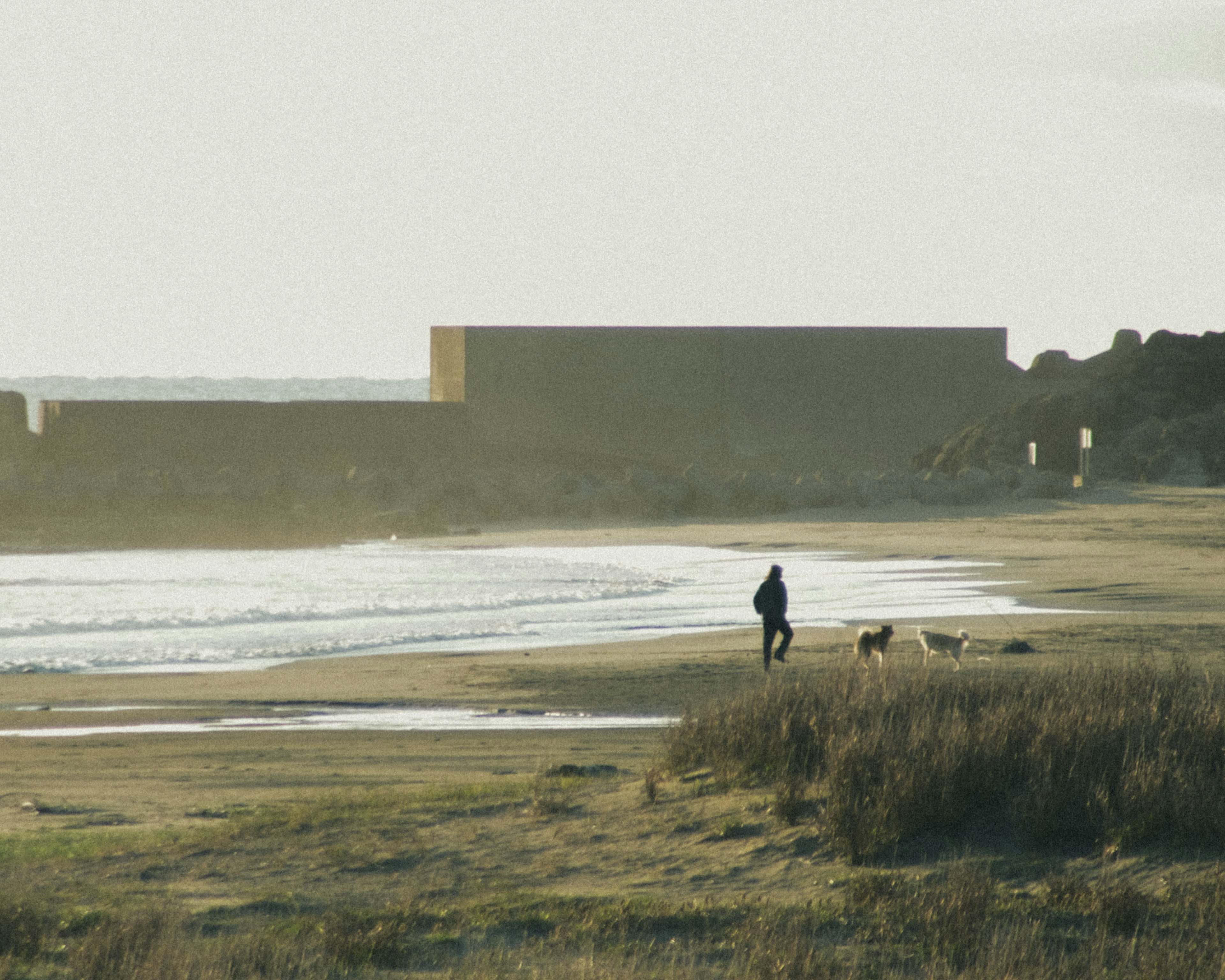 Una persona paseando a su perro por la playa