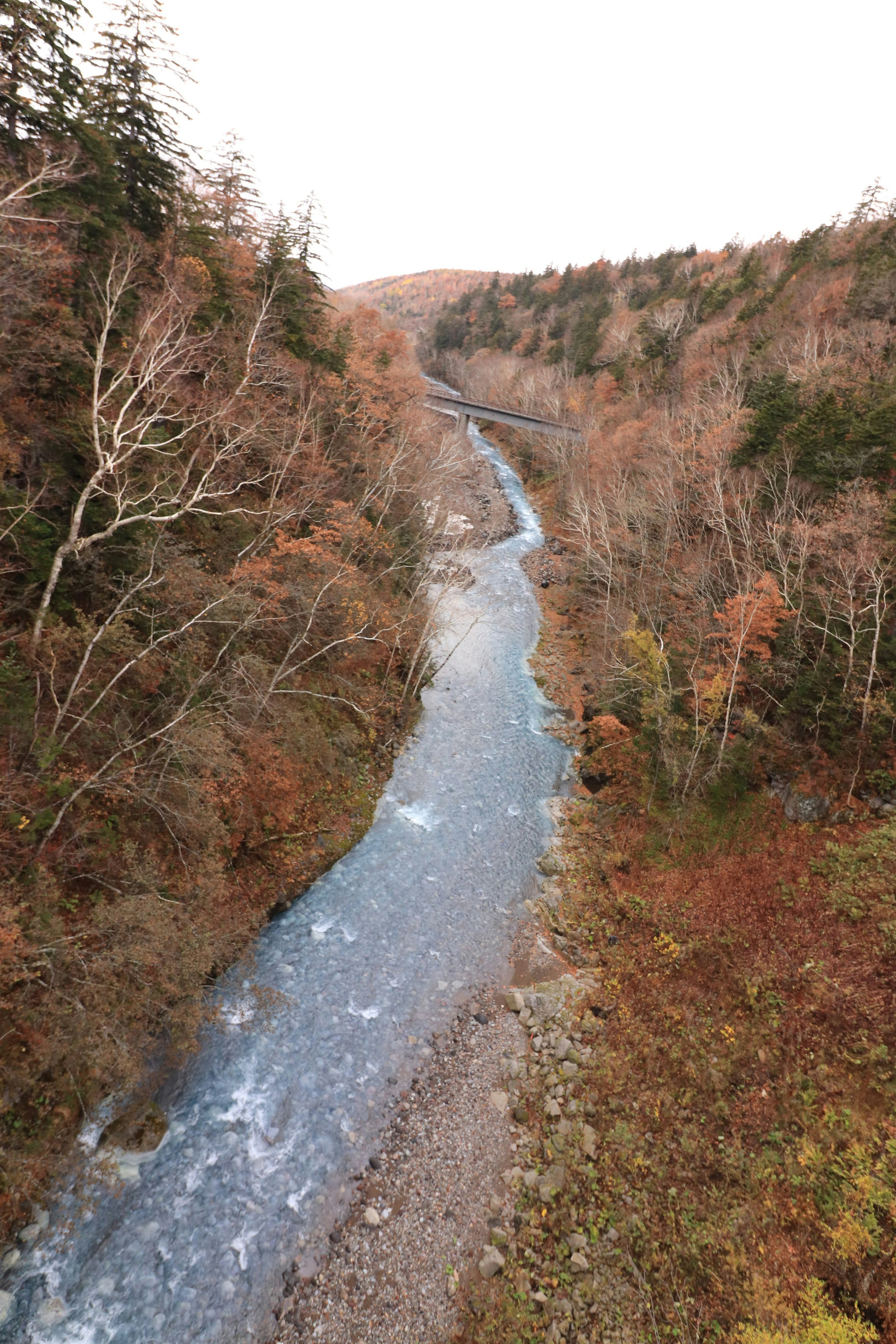 Rivière d'automne serpentant à travers des arbres aux feuillages colorés