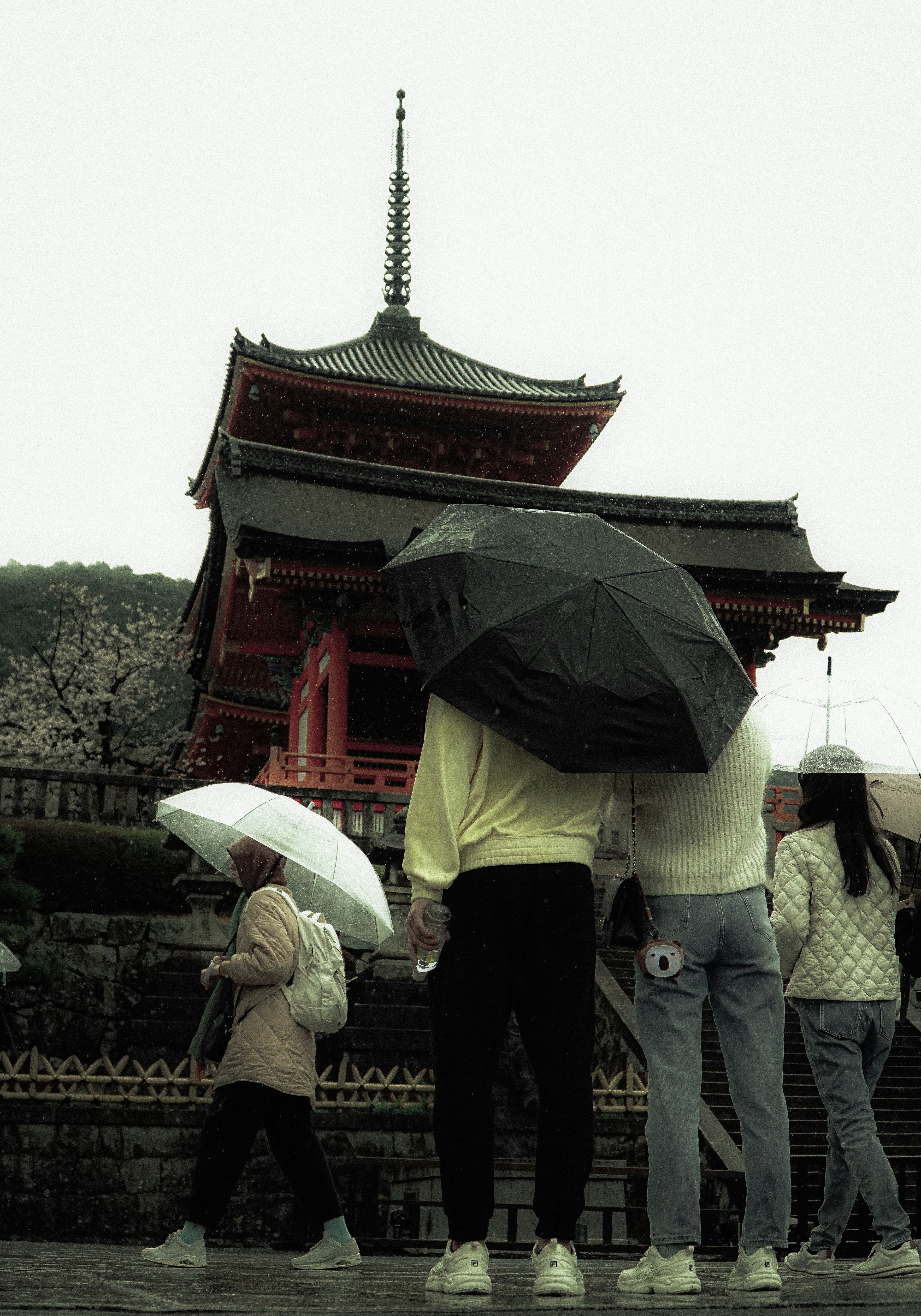 雨の中、傘をさしたカップルが清水寺の前に立っている