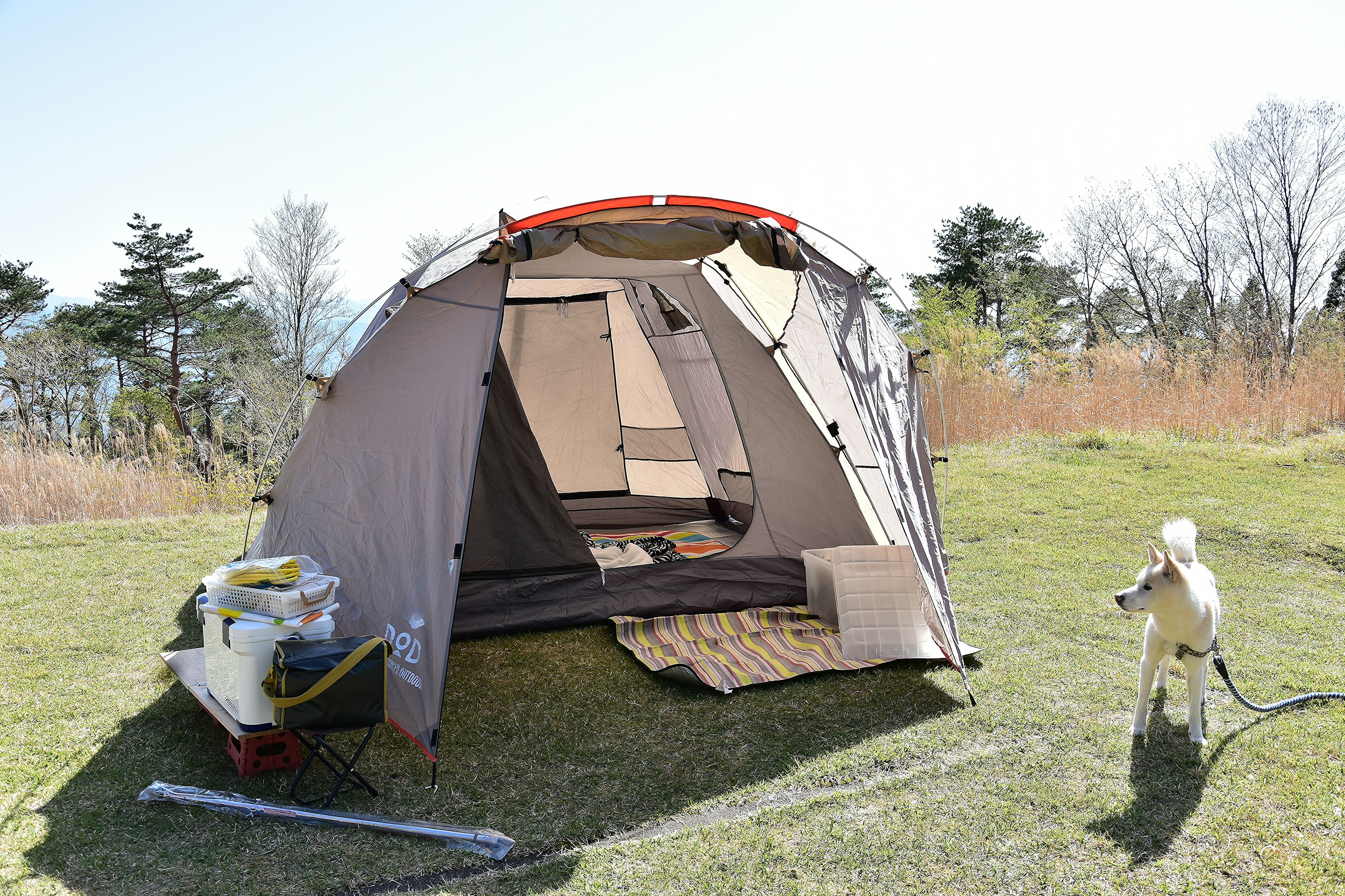 A camping tent set up outdoors with a dog nearby