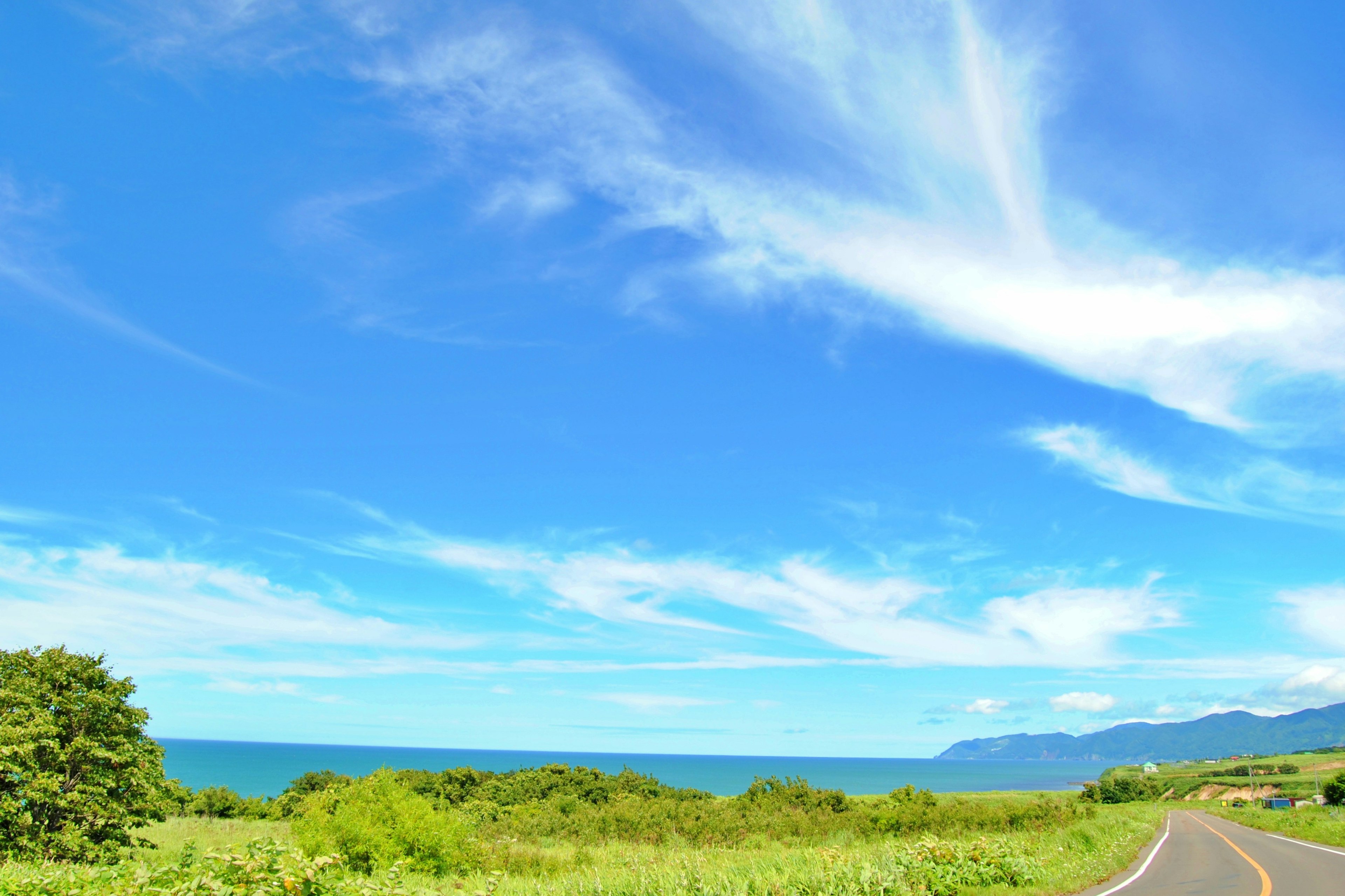 Vista panoramica di cielo azzurro e oceano circondato da paesaggio verde e strada