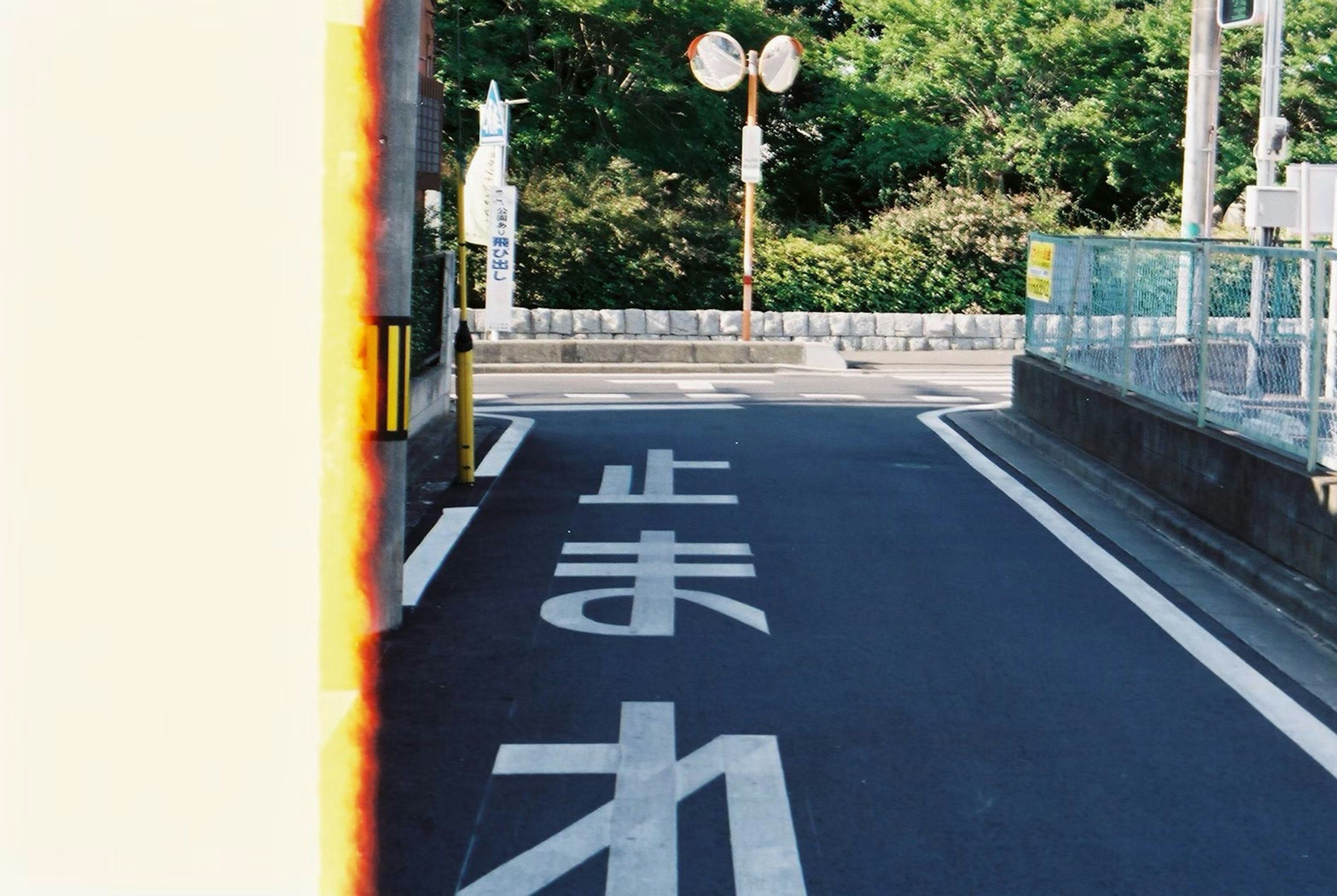 道路の手前にある止まれの文字と緑の木々が見える