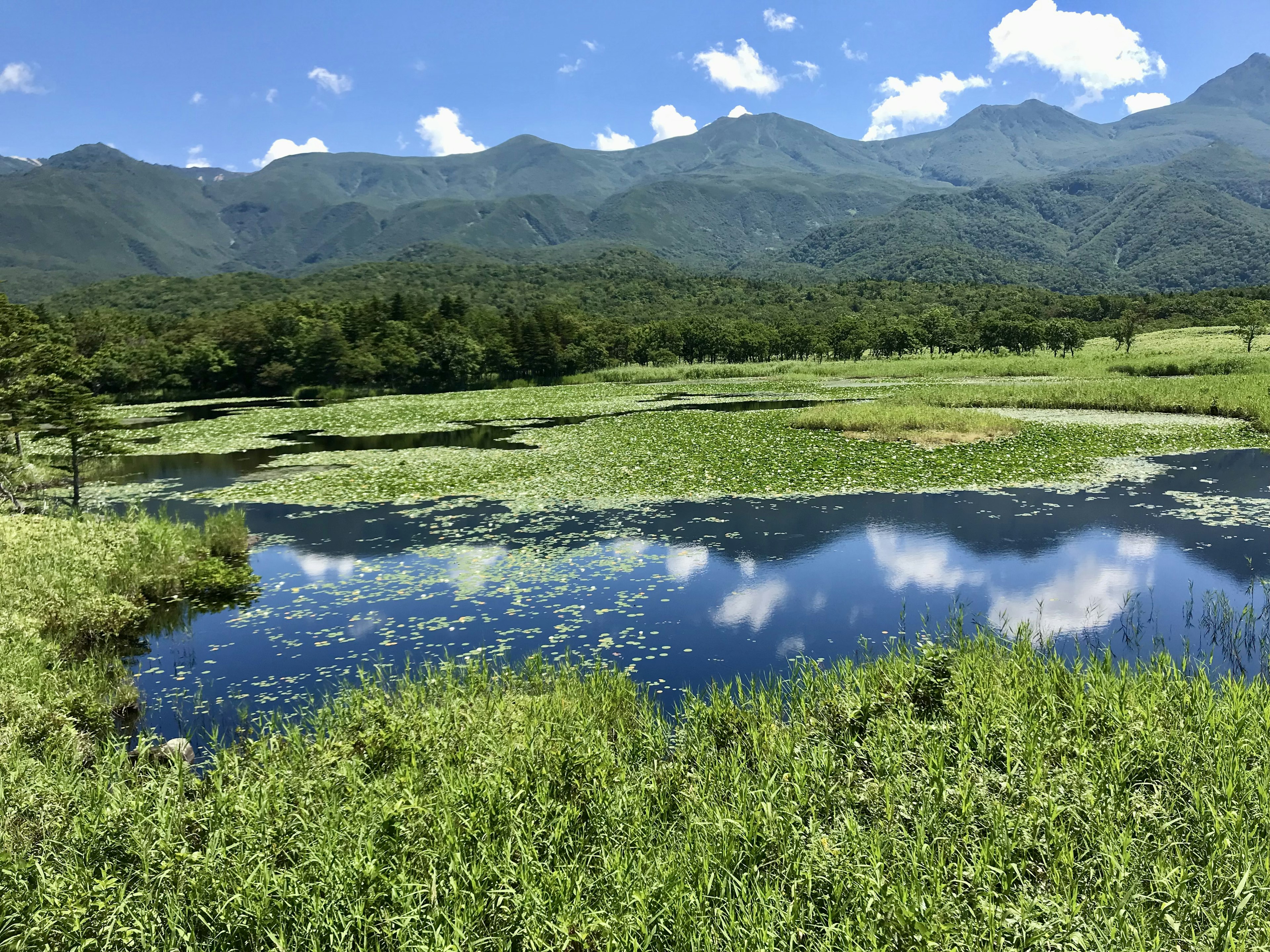 Lush green wetlands with a reflective pond surrounded by mountains under a clear blue sky