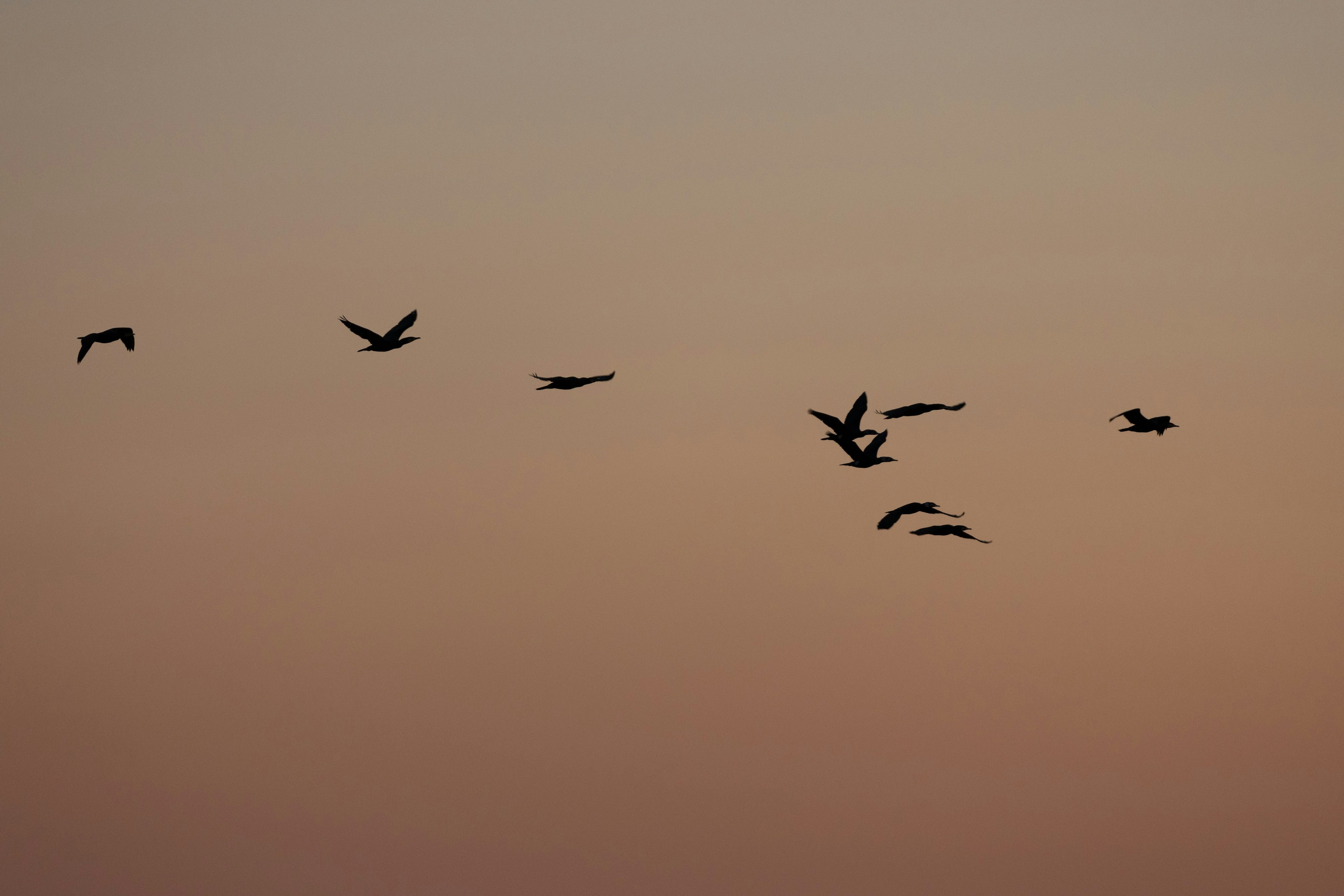 photo-f5ZRvJIuUd8iAUmmmuaB-image