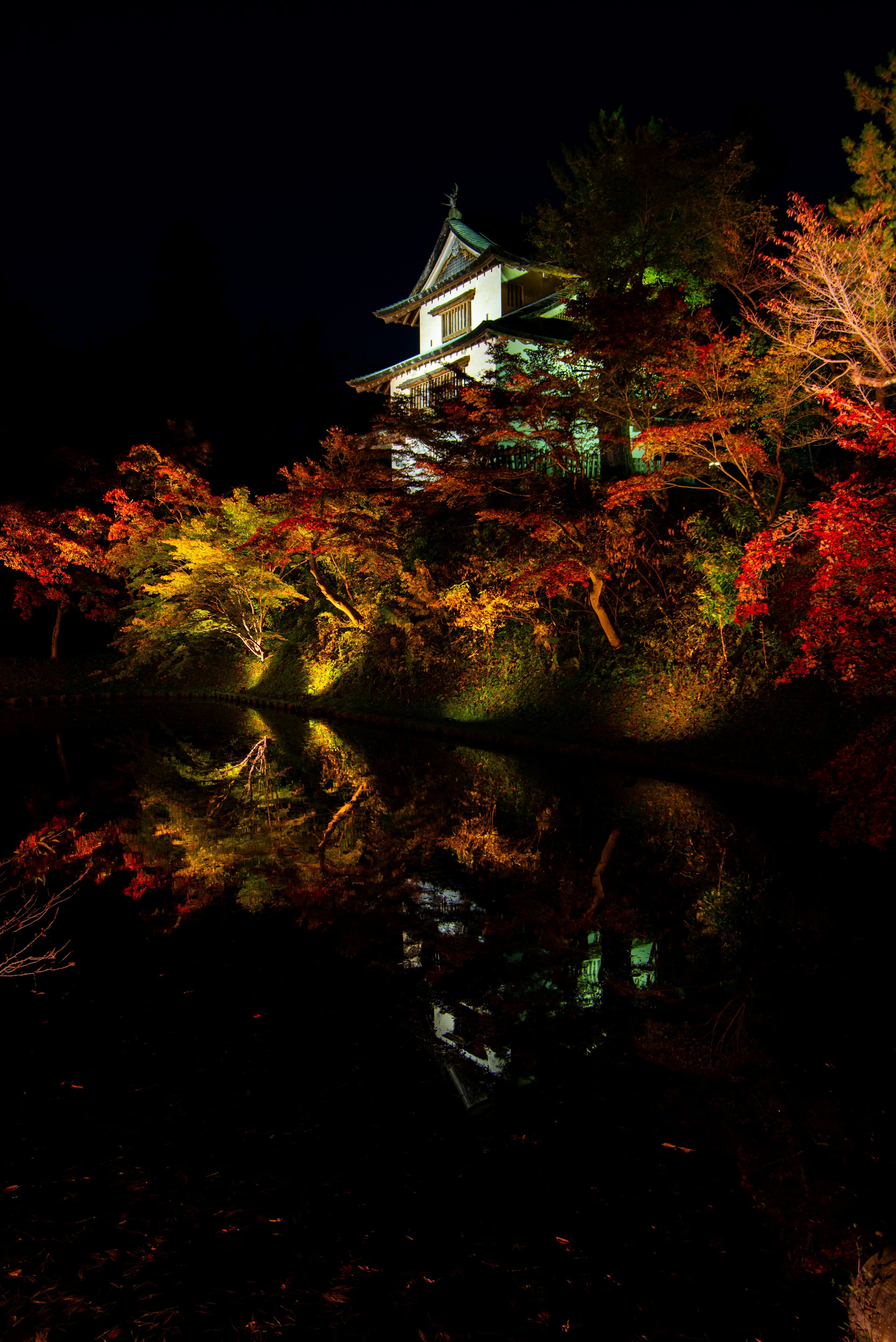 Eine atemberaubende Ansicht von Herbstblättern und einem Schloss, das in der Nacht reflektiert wird