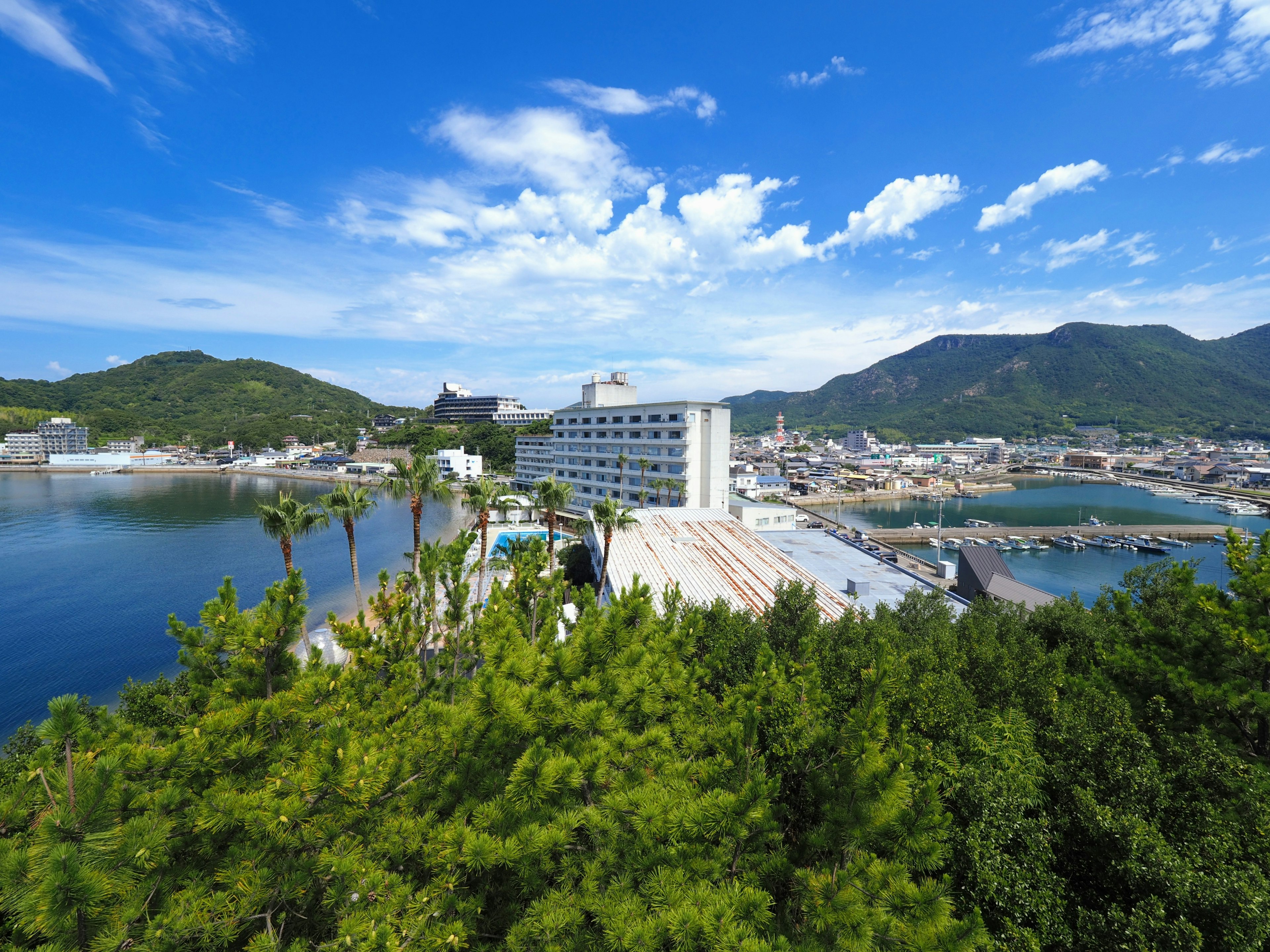 Modern building surrounded by green trees and ocean view under blue sky