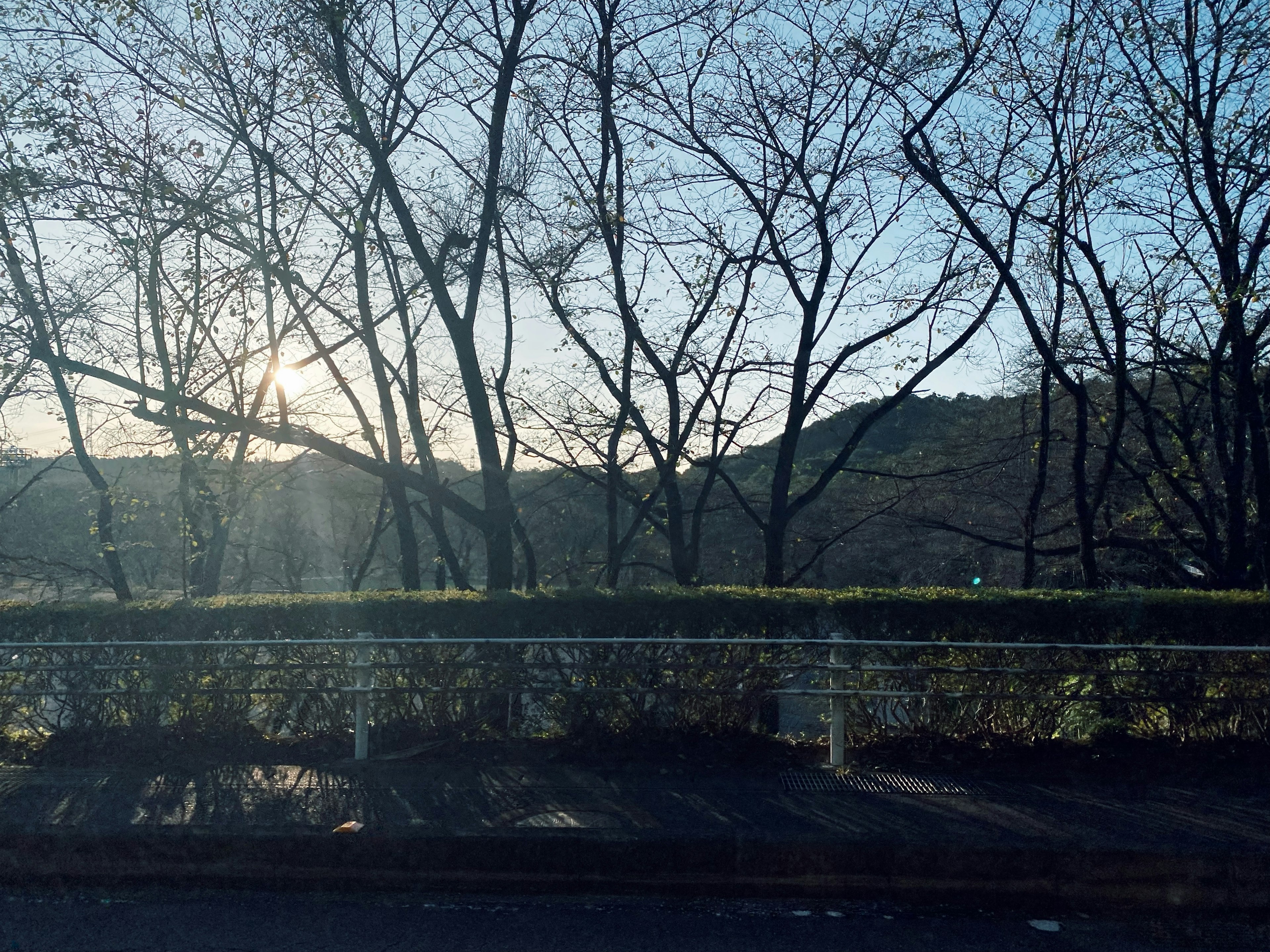 Sonnenuntergang mit Silhouetten von Bäumen und Bergen