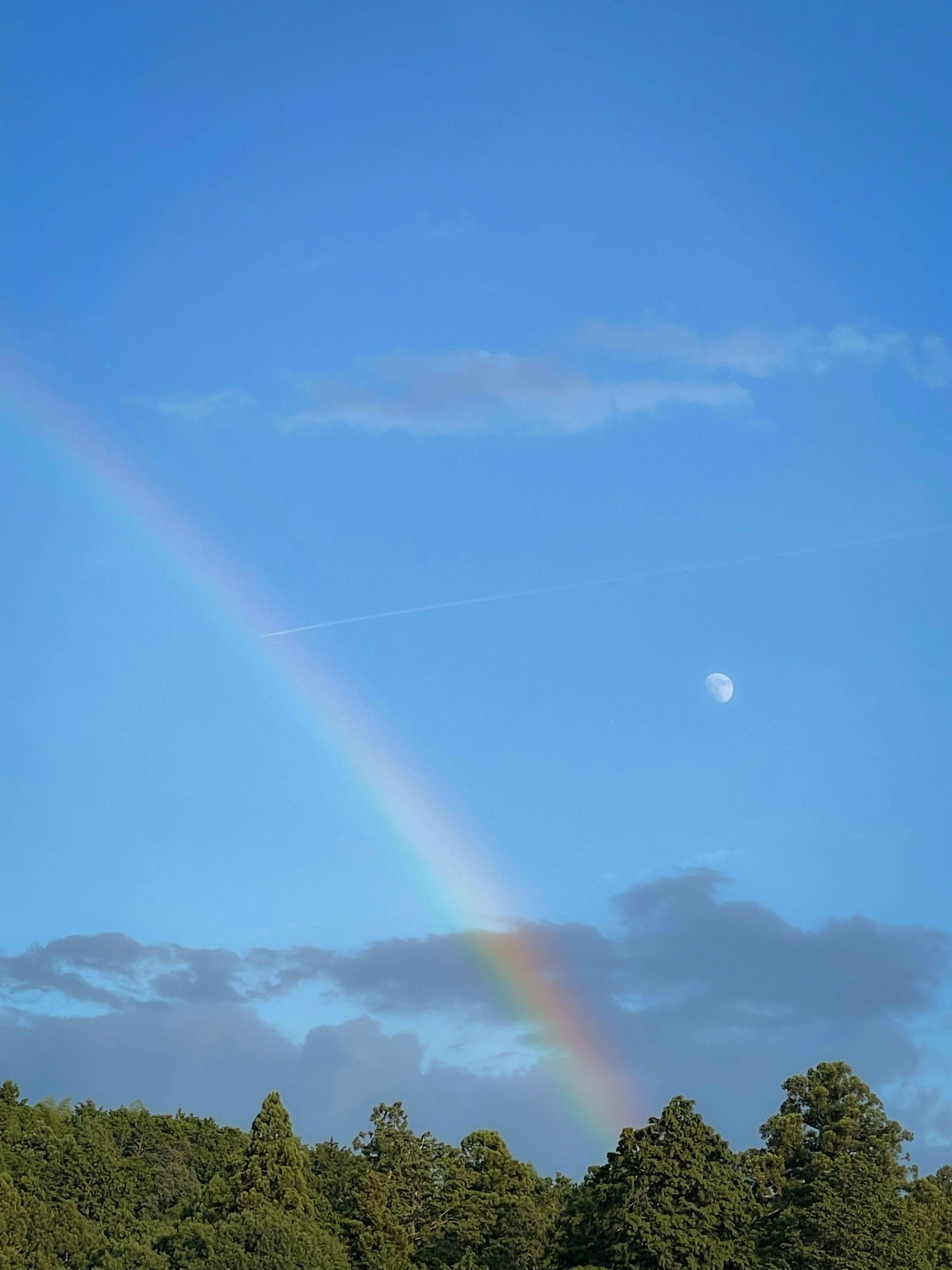 A landscape featuring a rainbow and the moon in a blue sky