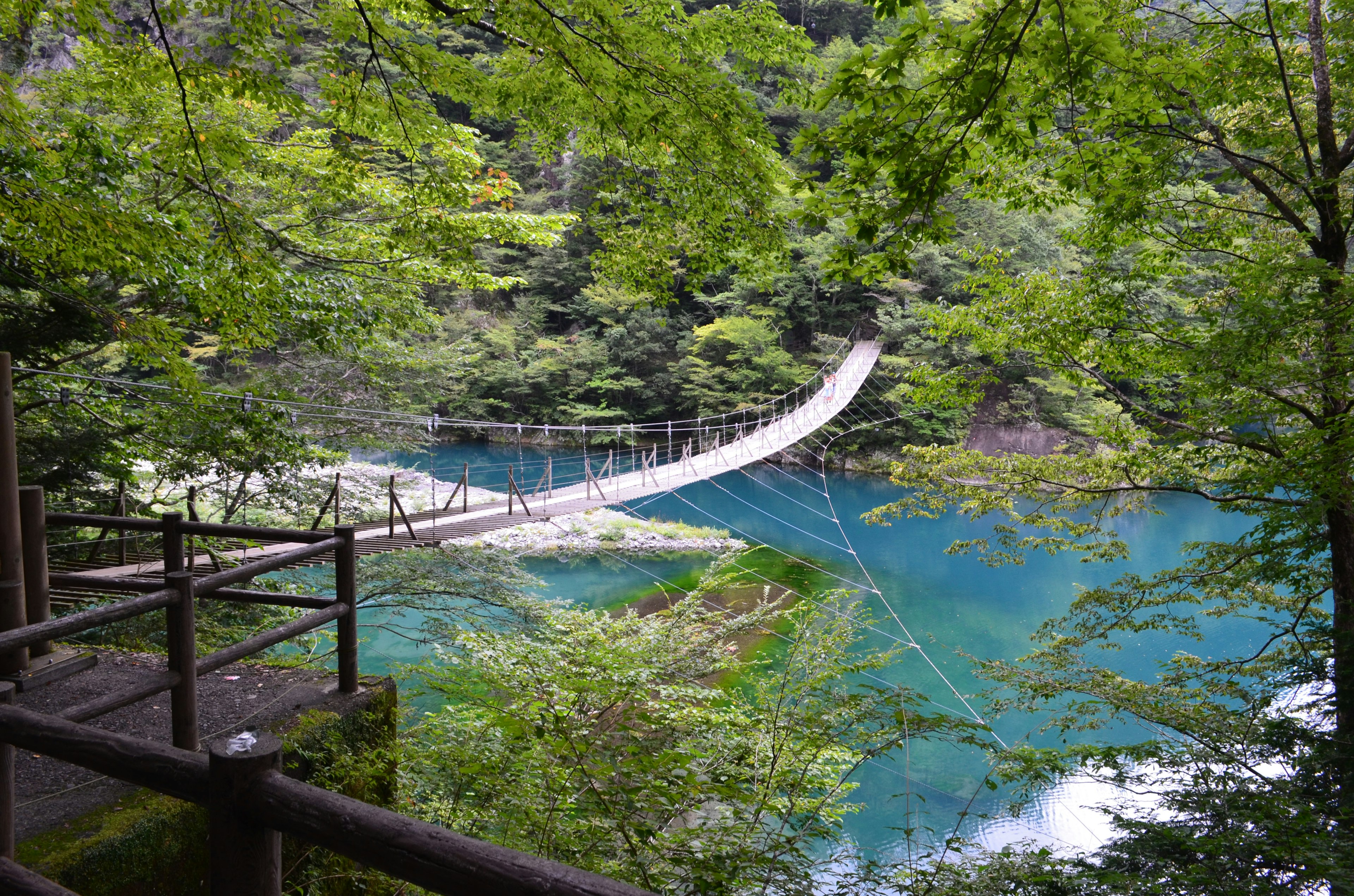 懸索橋橫跨藍色水面，四周環繞著綠色樹木