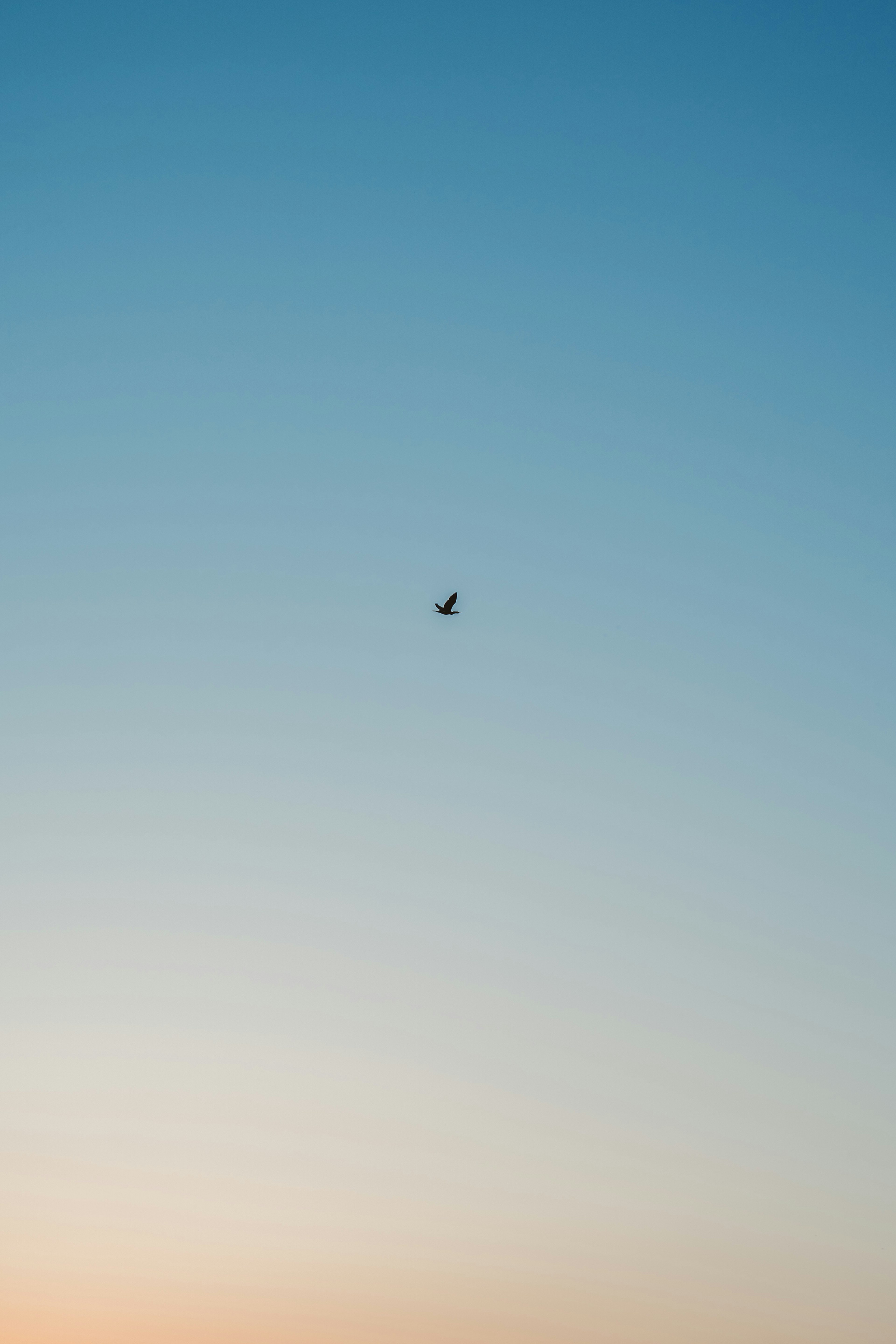 Un pequeño avión flotando en un cielo azul