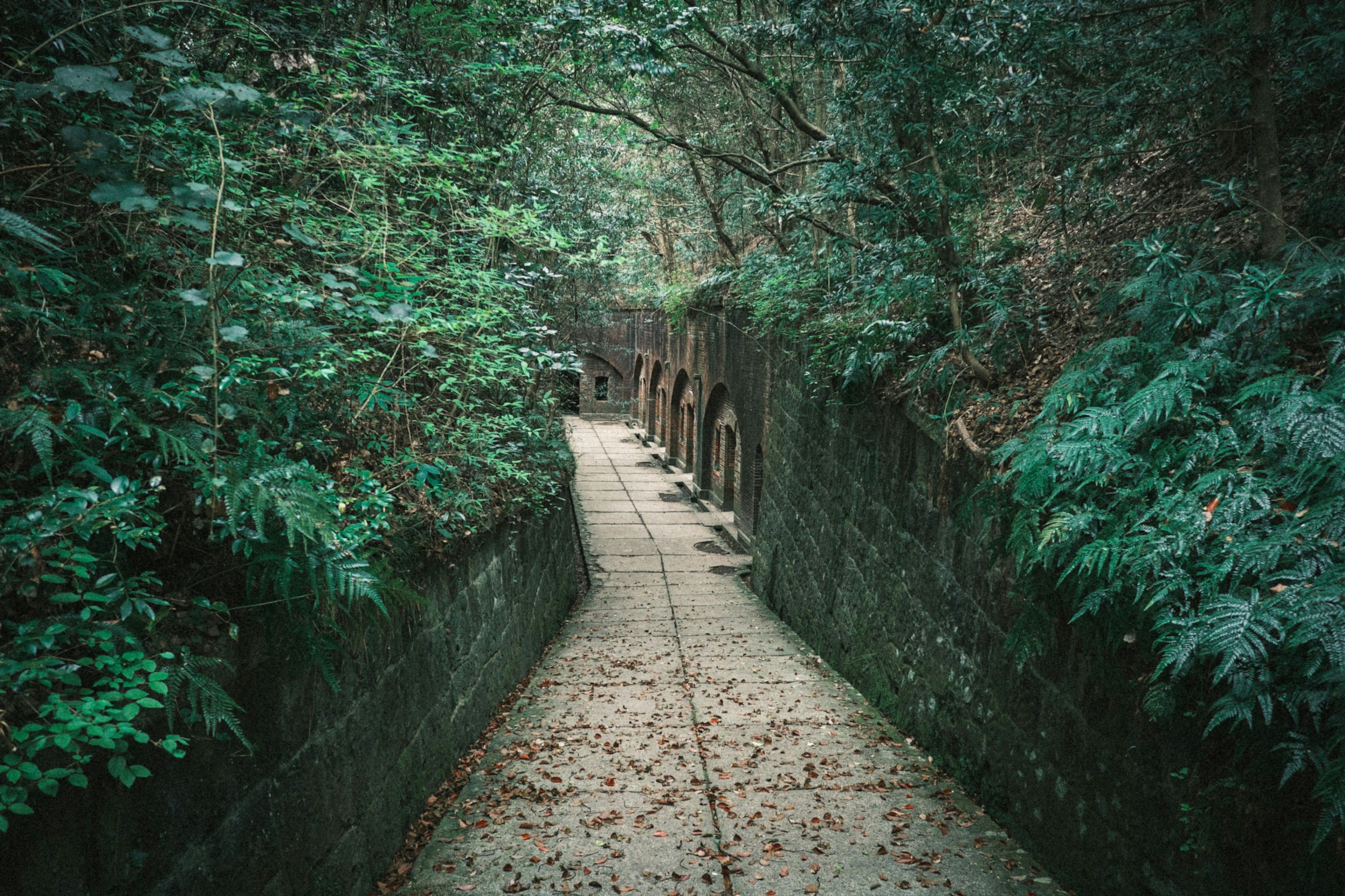 Quiet pathway surrounded by greenery with old stone walls and fallen leaves