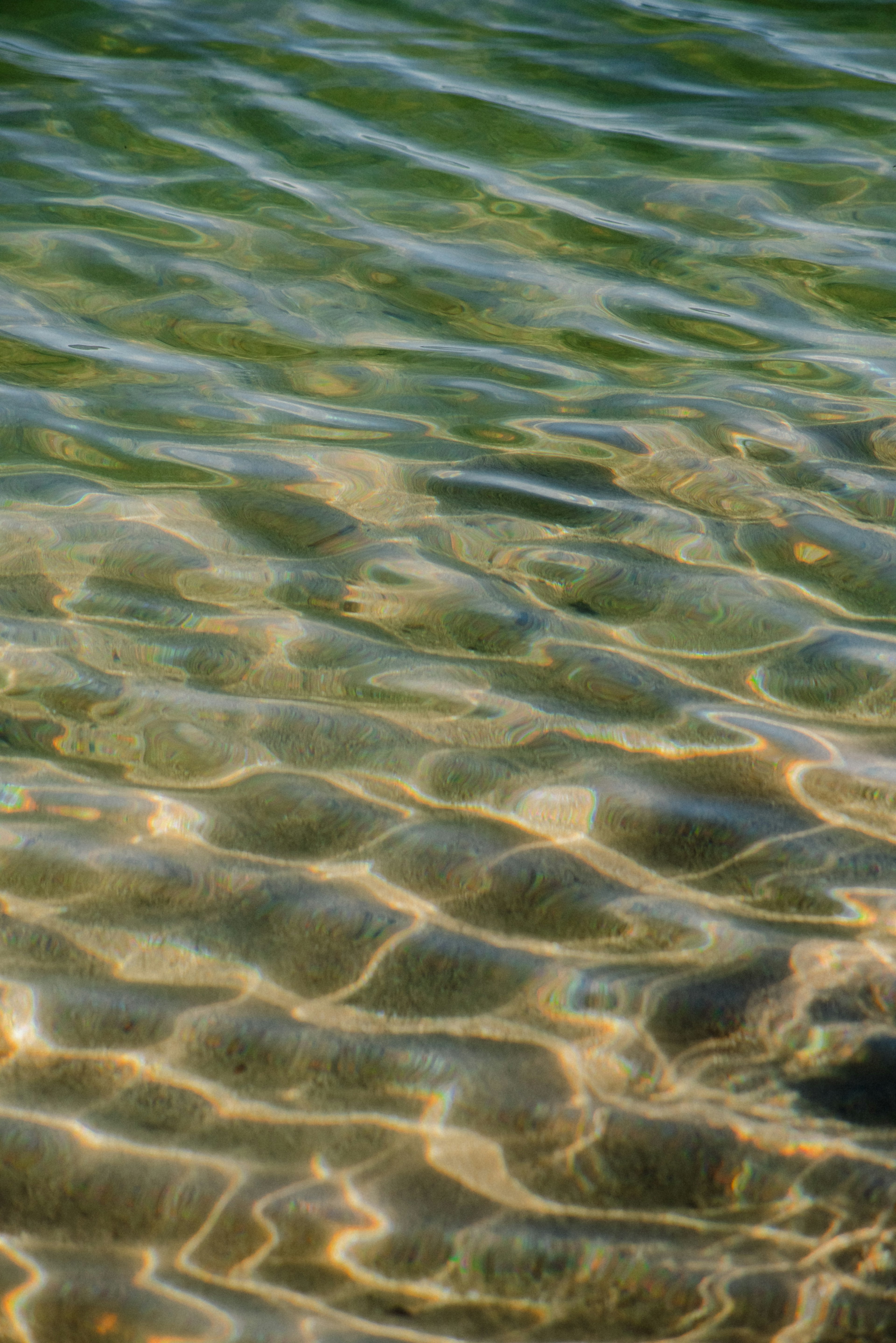 Welligkeit der klaren Wasseroberfläche, die Licht reflektiert