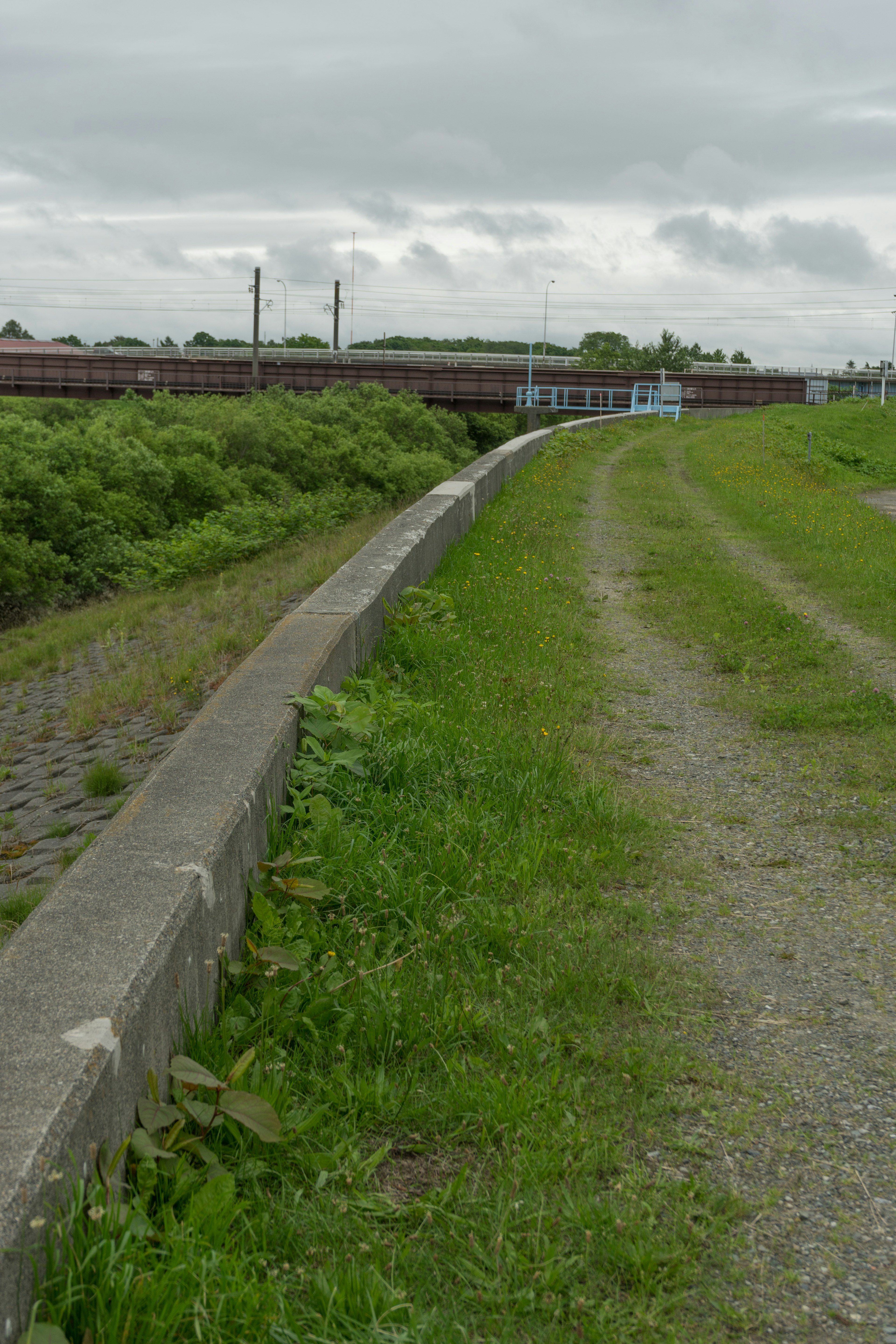 Landscape near a river with green grass and a gravel path