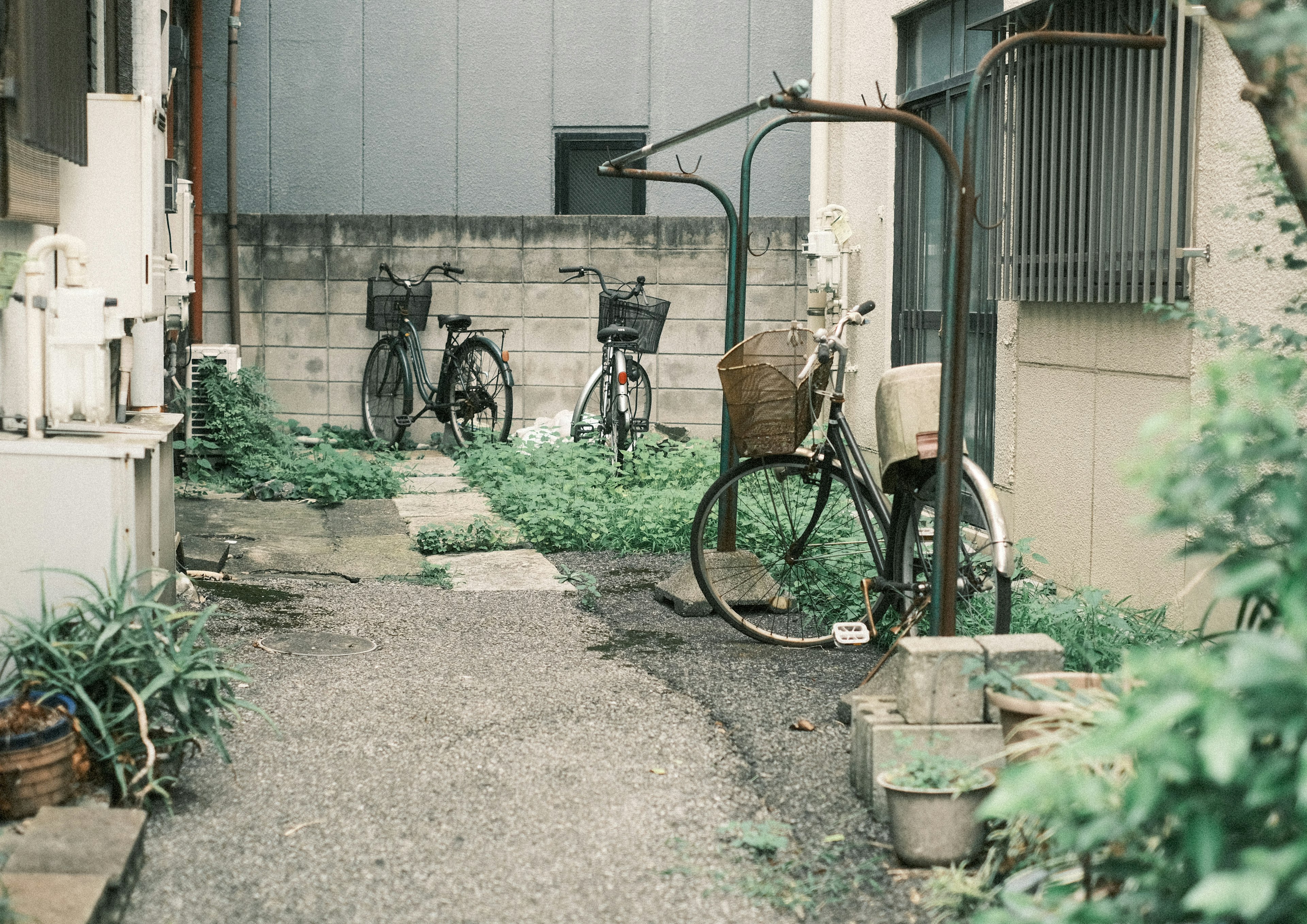 Bicycles parked in a quiet alley surrounded by greenery