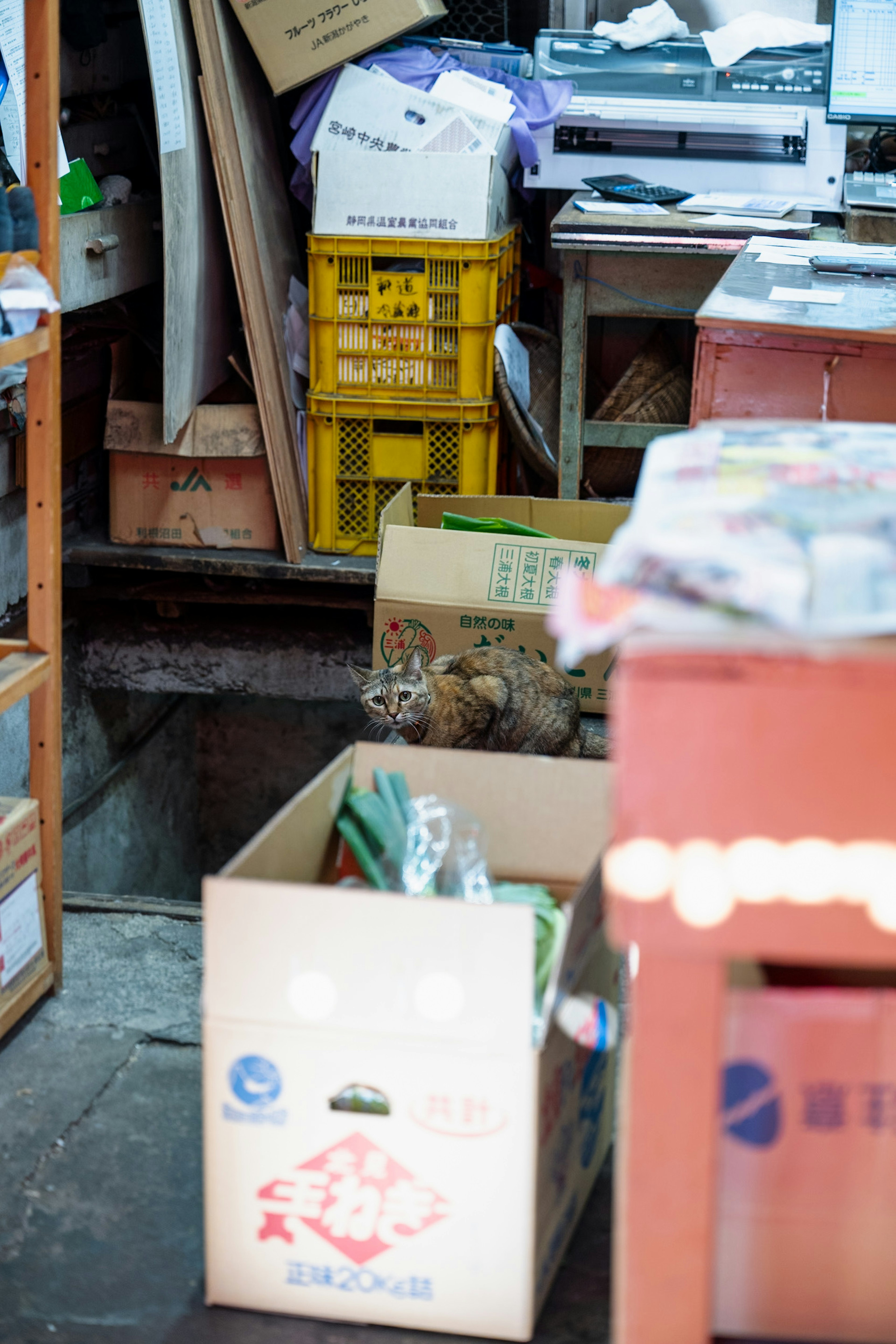 Cluttered interior with various boxes and crates