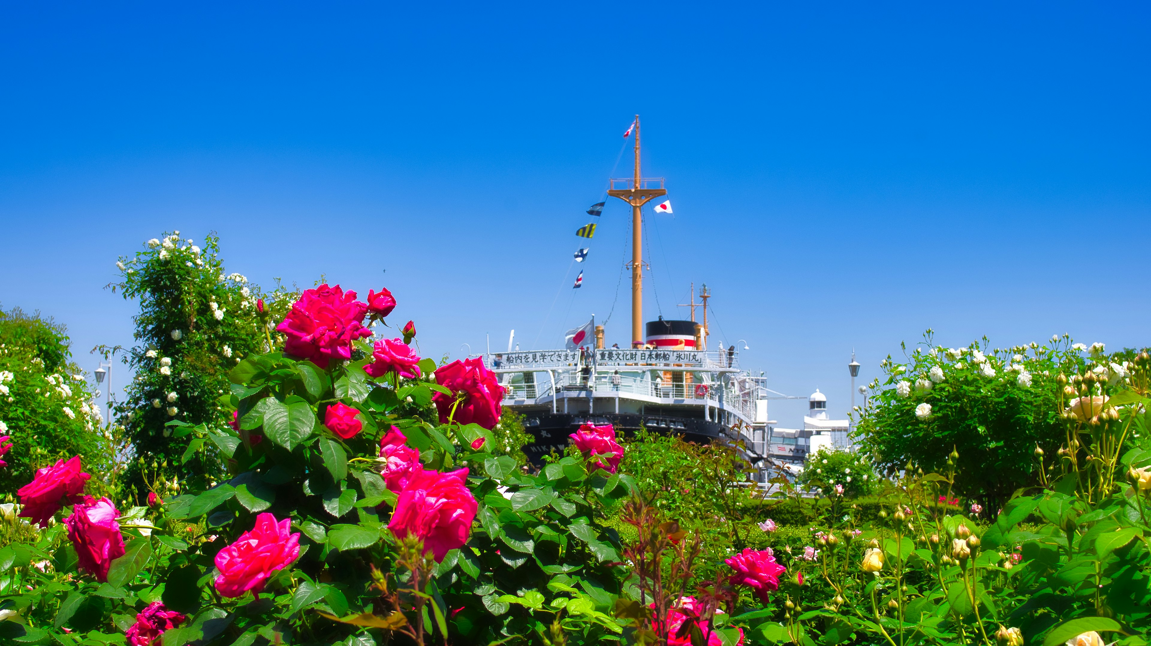 A landscape featuring blooming roses under a blue sky with a ship's mast in the background