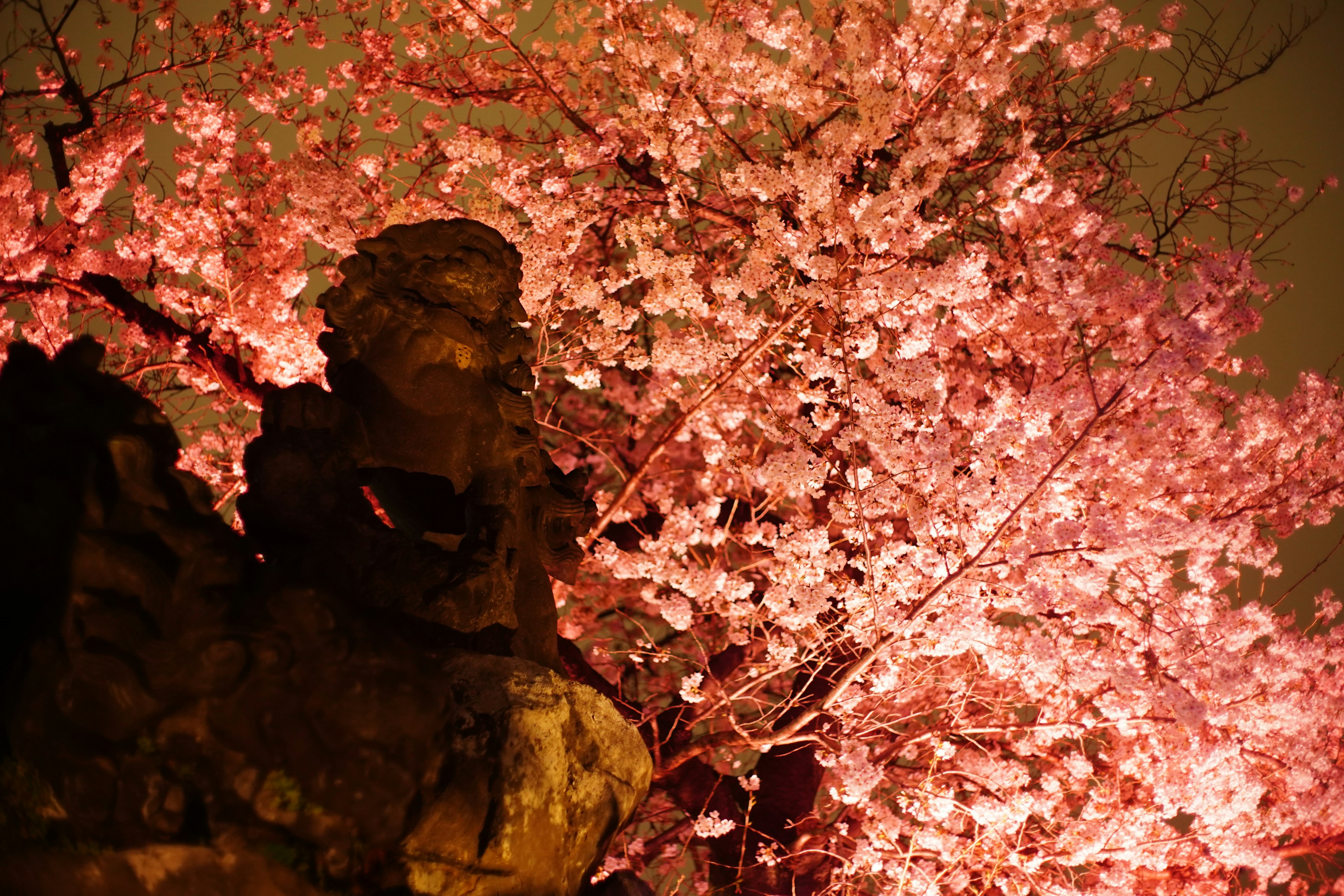 夜の桜の木とその前にある彫刻の美しい光景