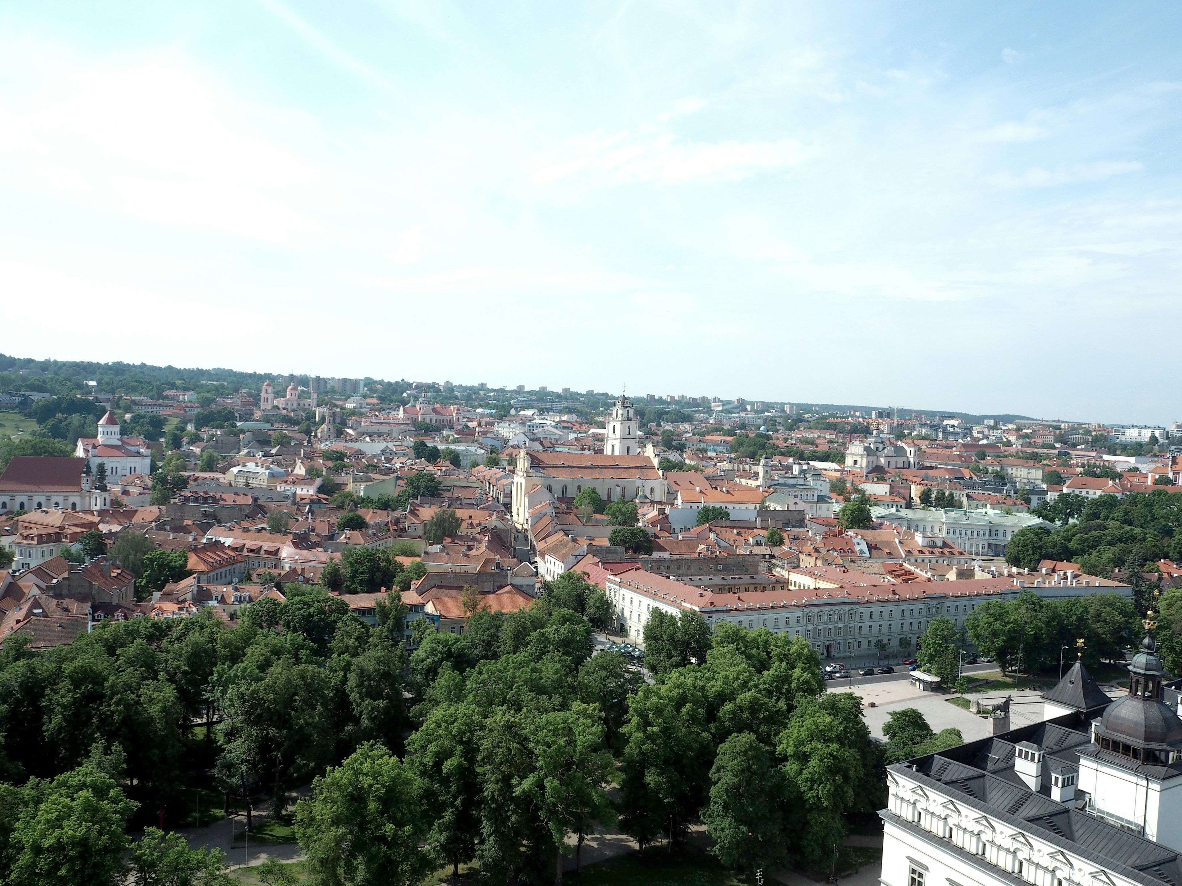 Vista panorámica de una ciudad con árboles verdes y edificios de techos rojos