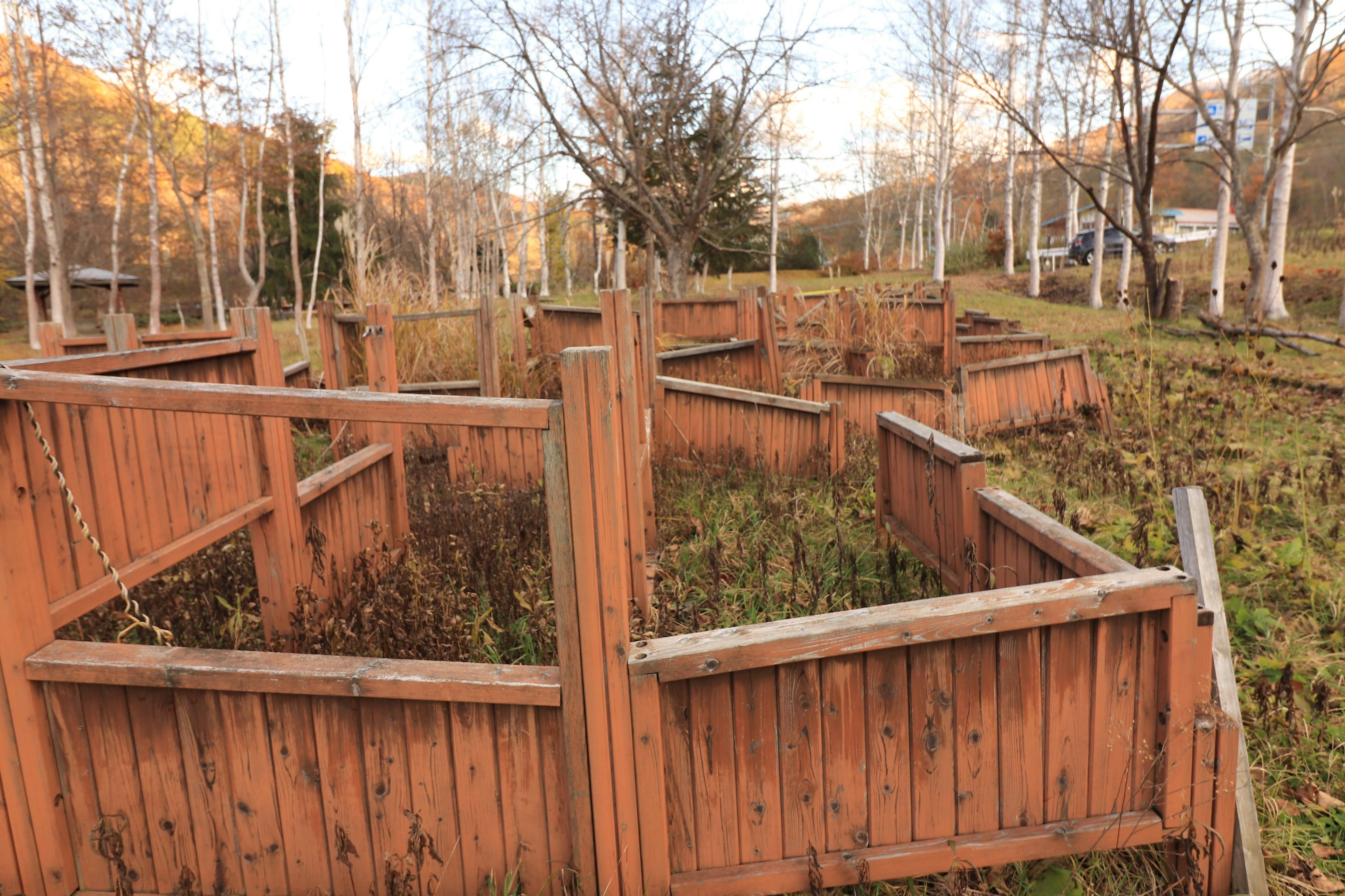 Überwucherten Garten mit hölzernen Zäunen, die in einem Labyrinth angeordnet sind