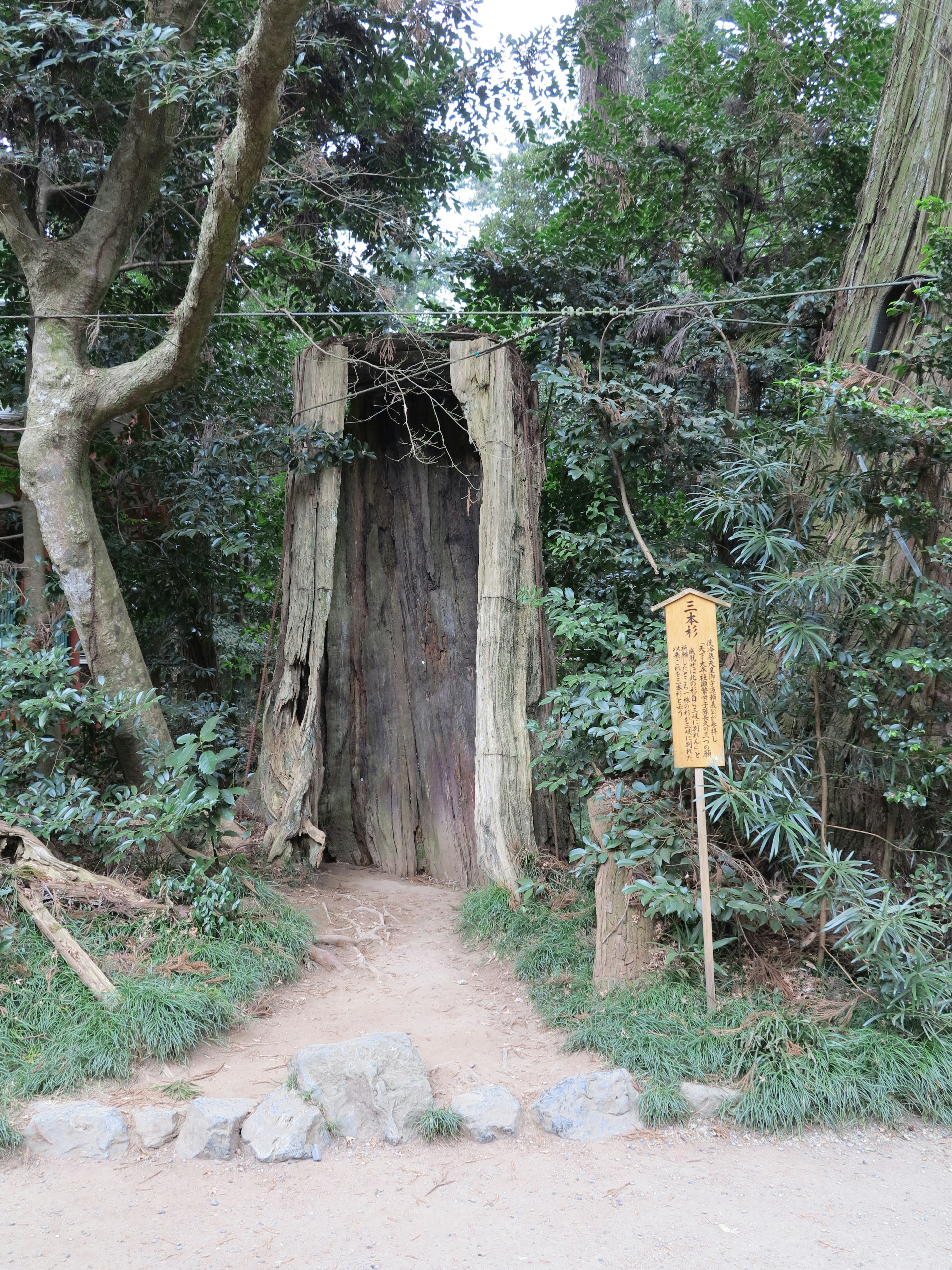 Eine alte Holztür in einem Wald mit einem Schild