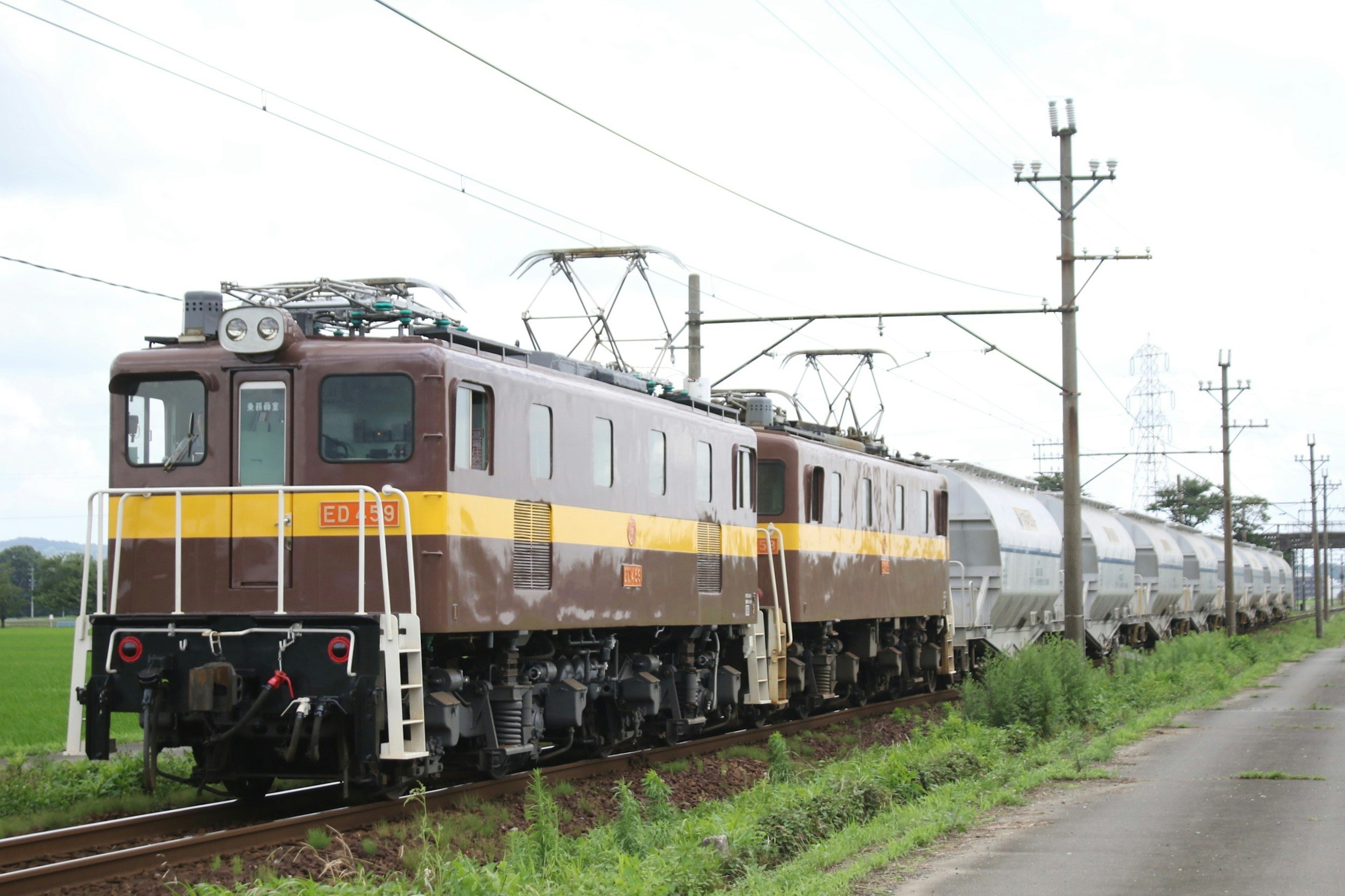 Locomotive électrique marron et jaune circulant à côté de champs de riz