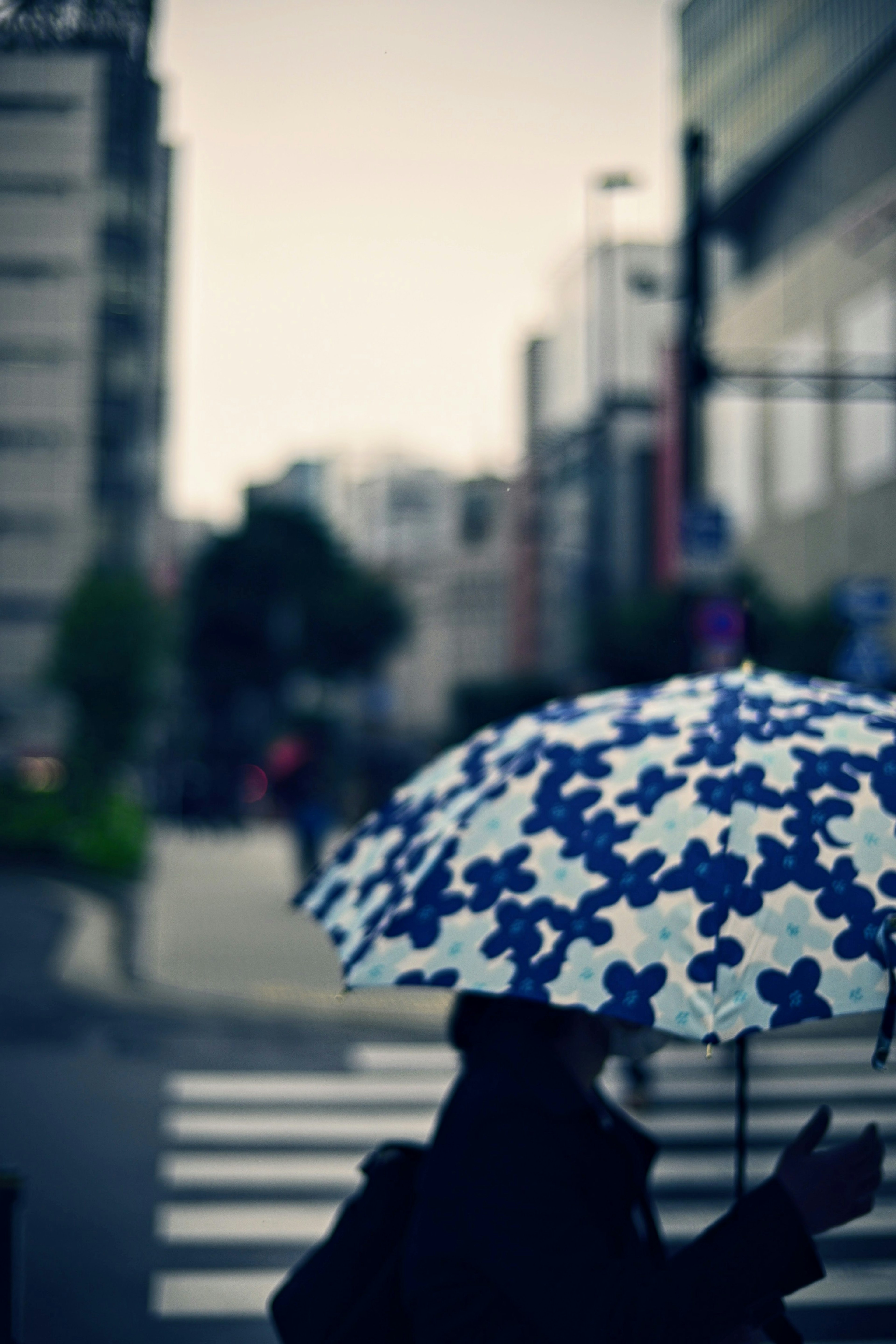 手持蓝色花伞的人在城市中行走