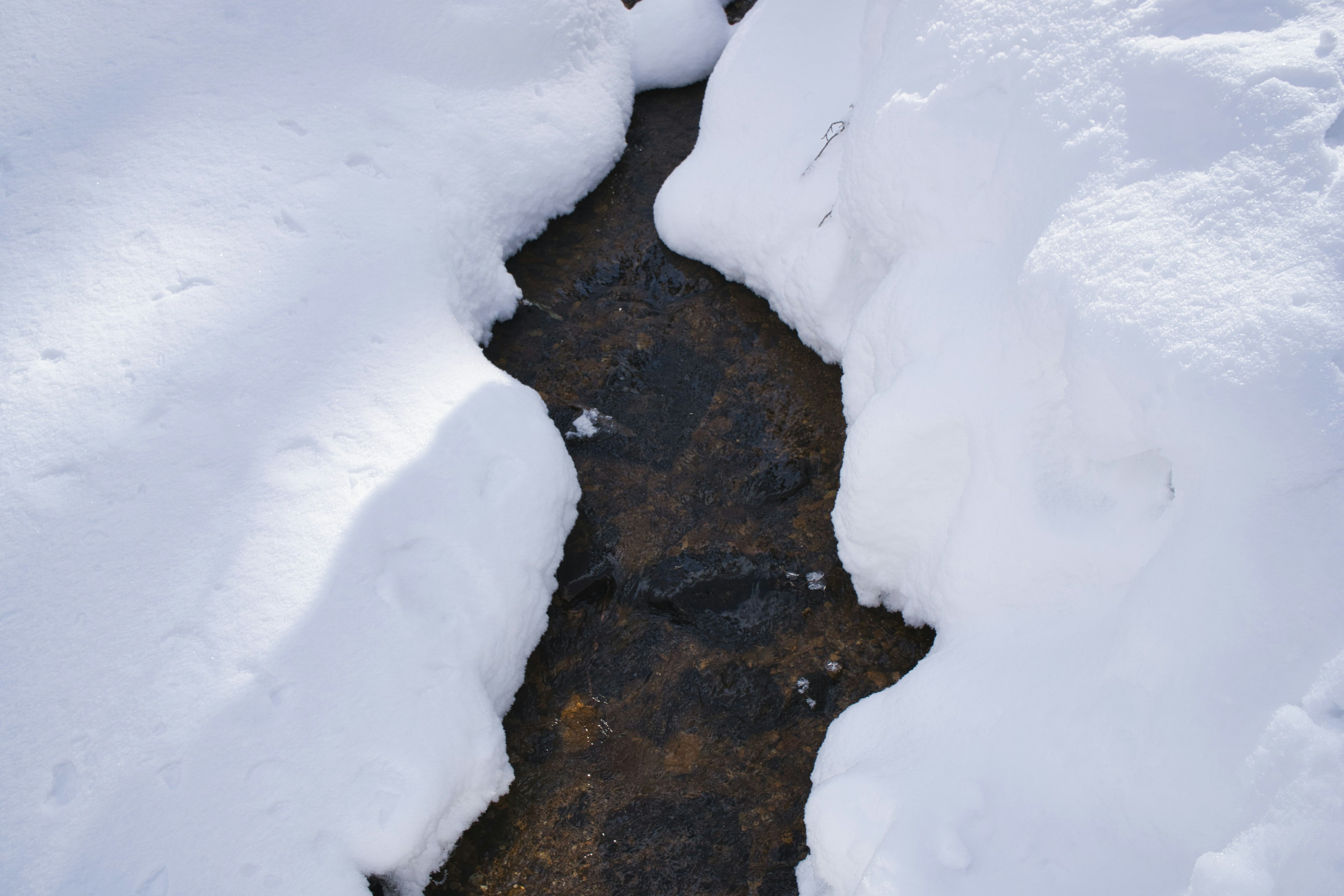 Ein kleiner Bach, der durch schneebedeckte Ufer sichtbar ist