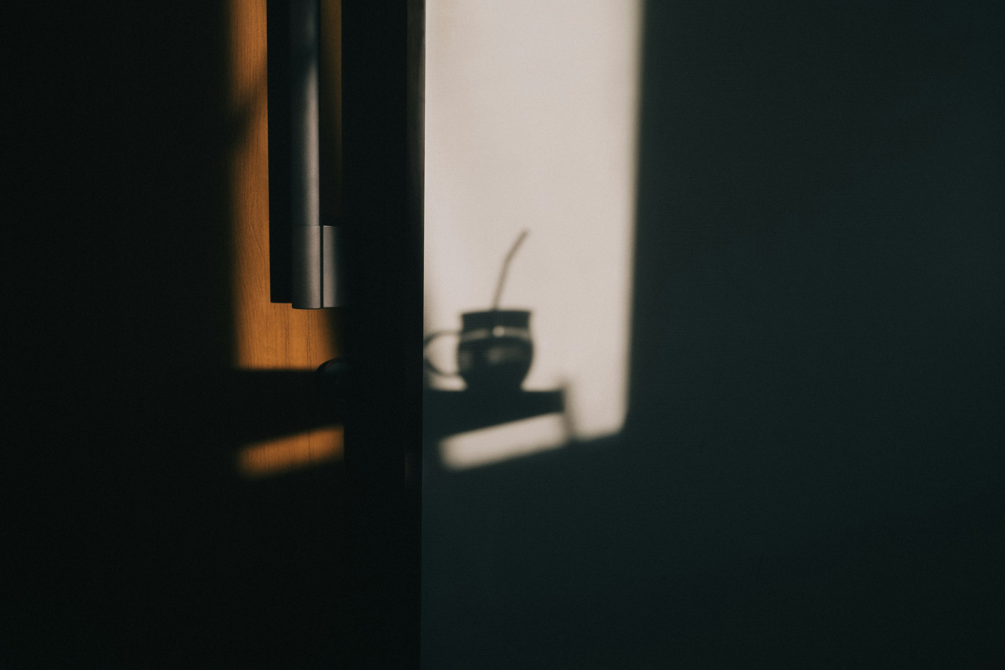 Silhouette d'une plante et d'une tasse projetée par la lumière sur un mur