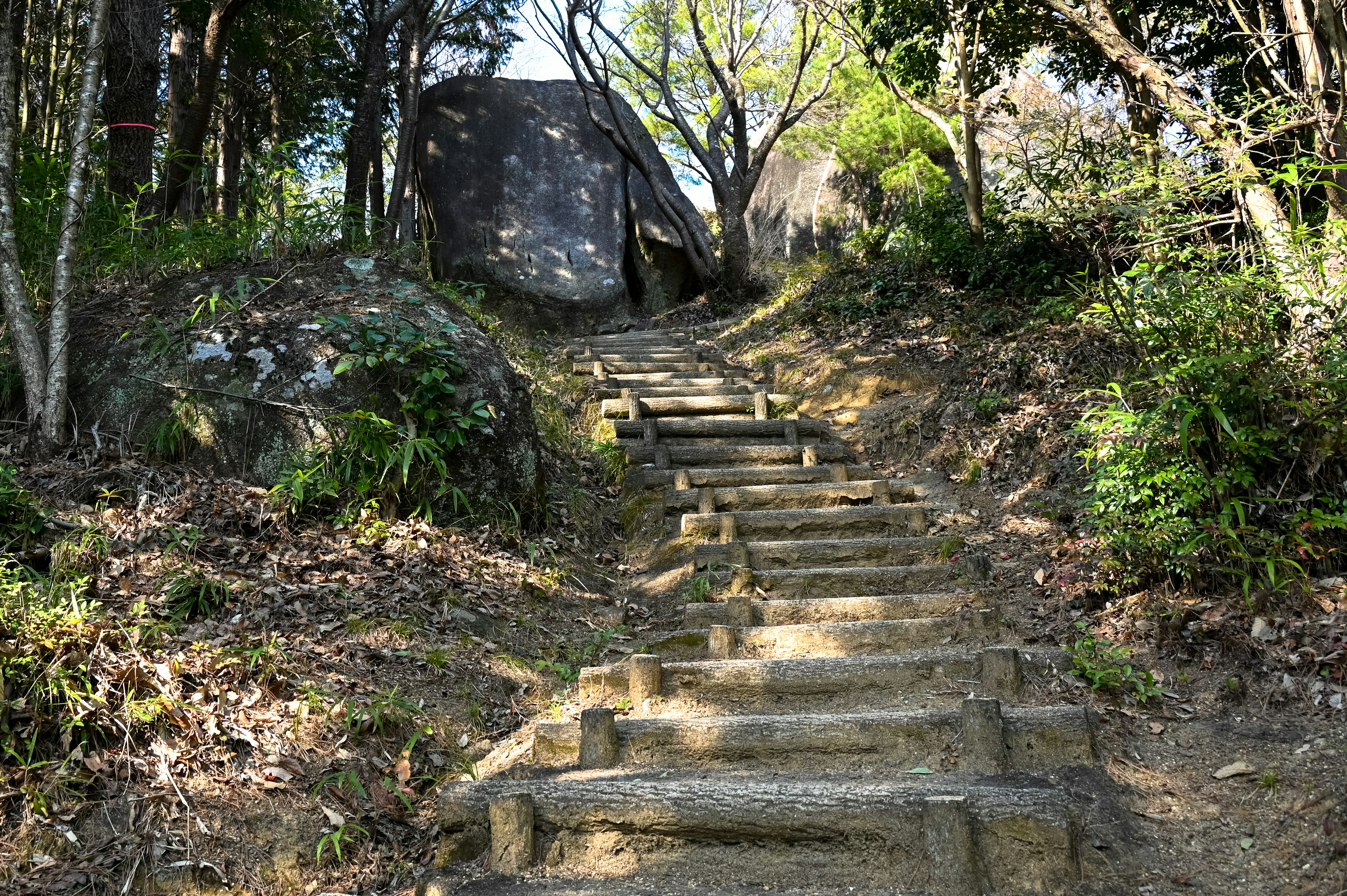 A scenic path with stone steps leading through lush greenery