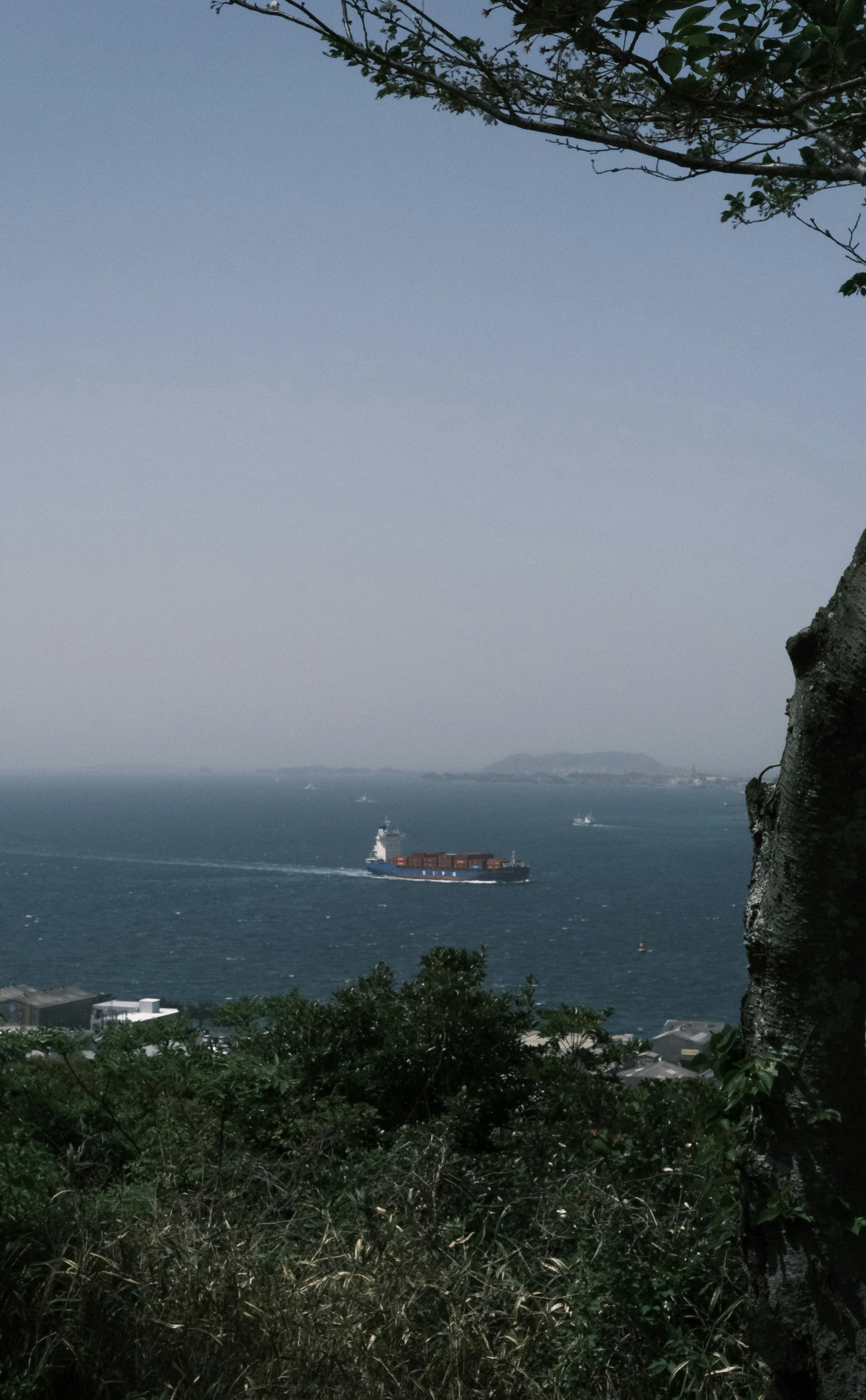 A cargo ship sailing on the sea with an island in the background and a clear blue sky