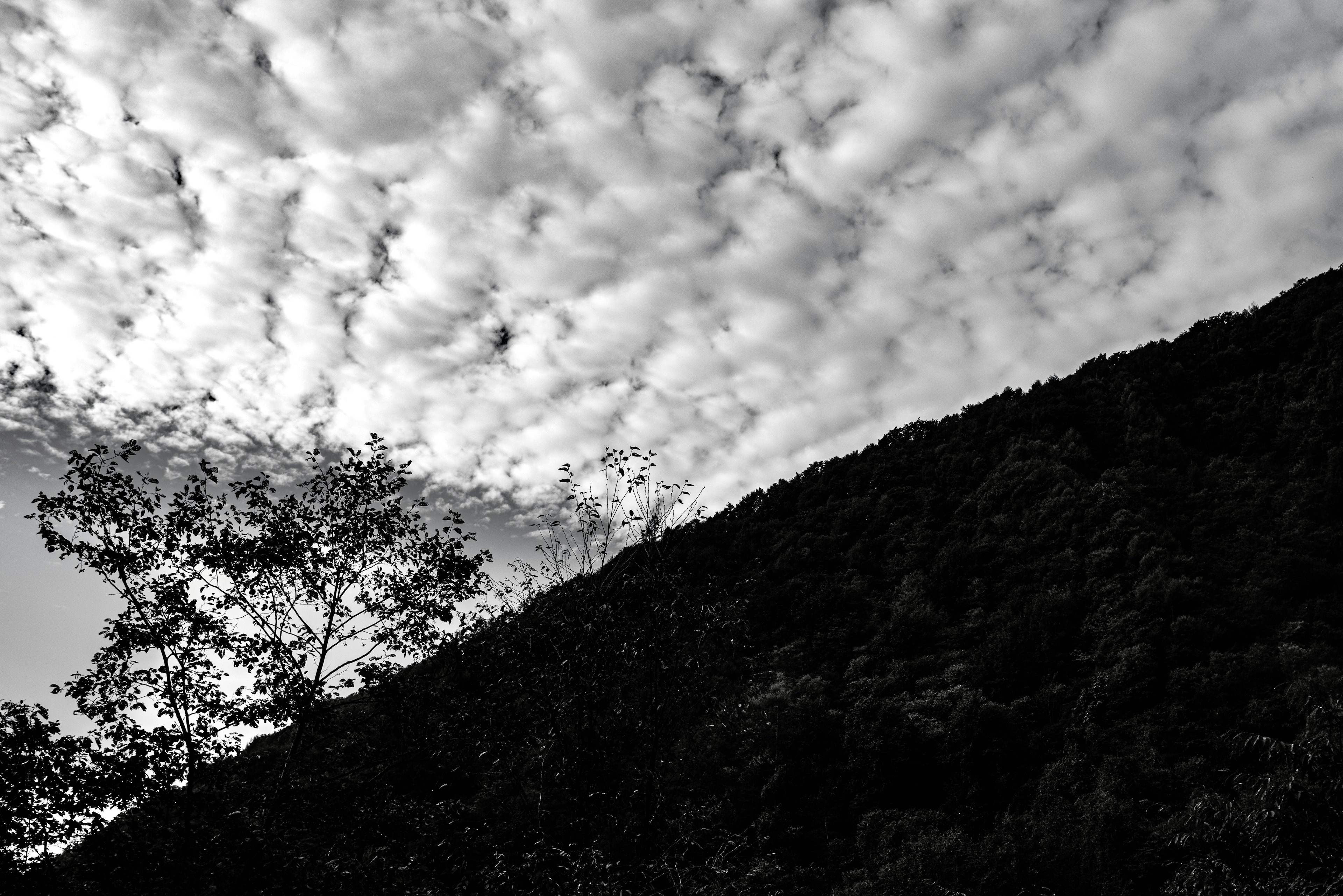 Paysage en noir et blanc présentant une colline en silhouette et un ciel nuageux