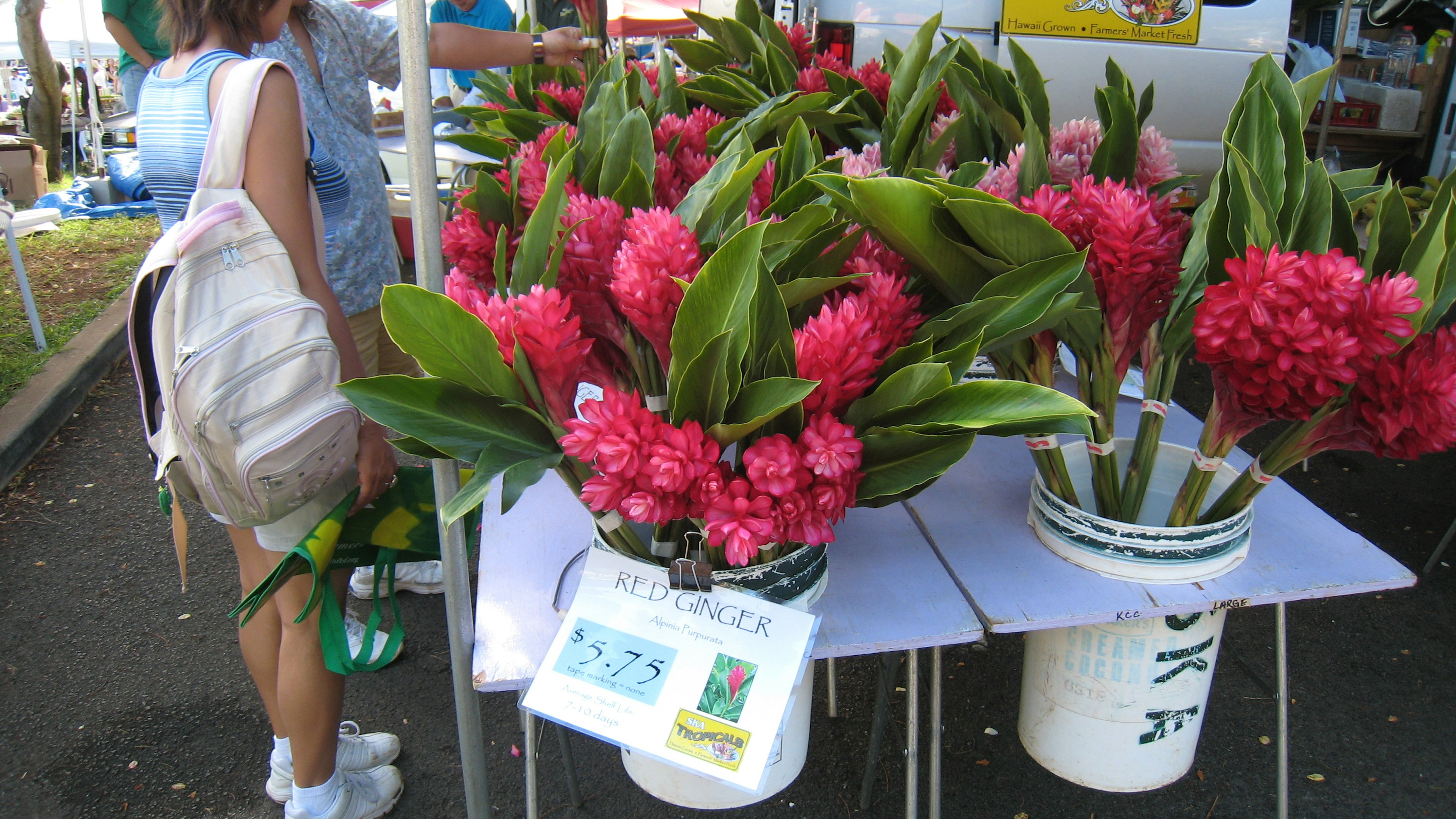 Pemandangan pasar dengan bunga pink cerah dan daun hijau