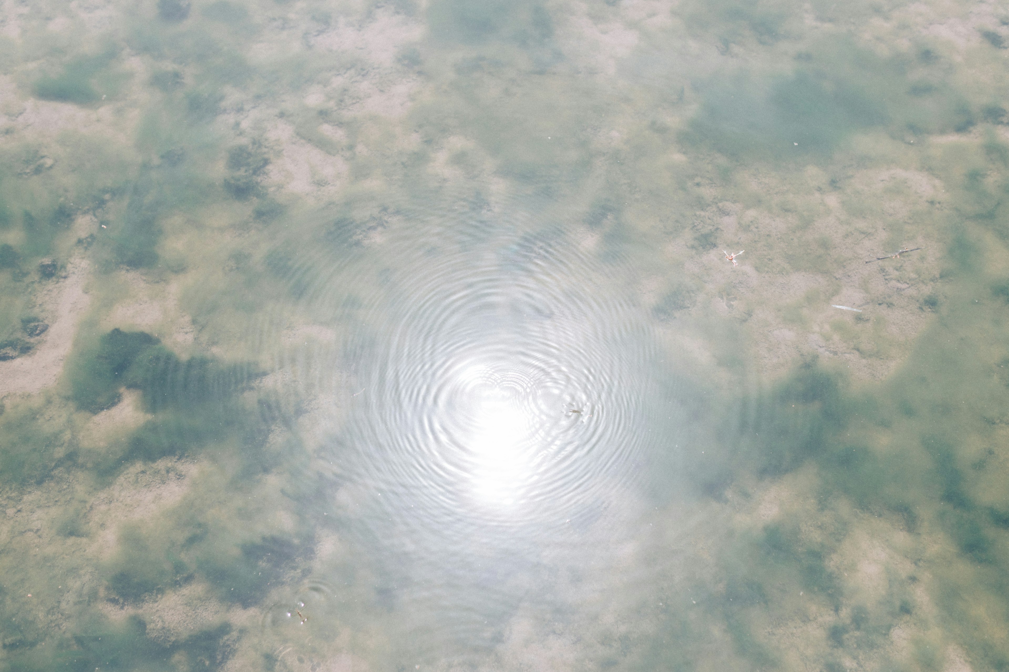 Rippling water surface reflecting sunlight with a serene natural landscape