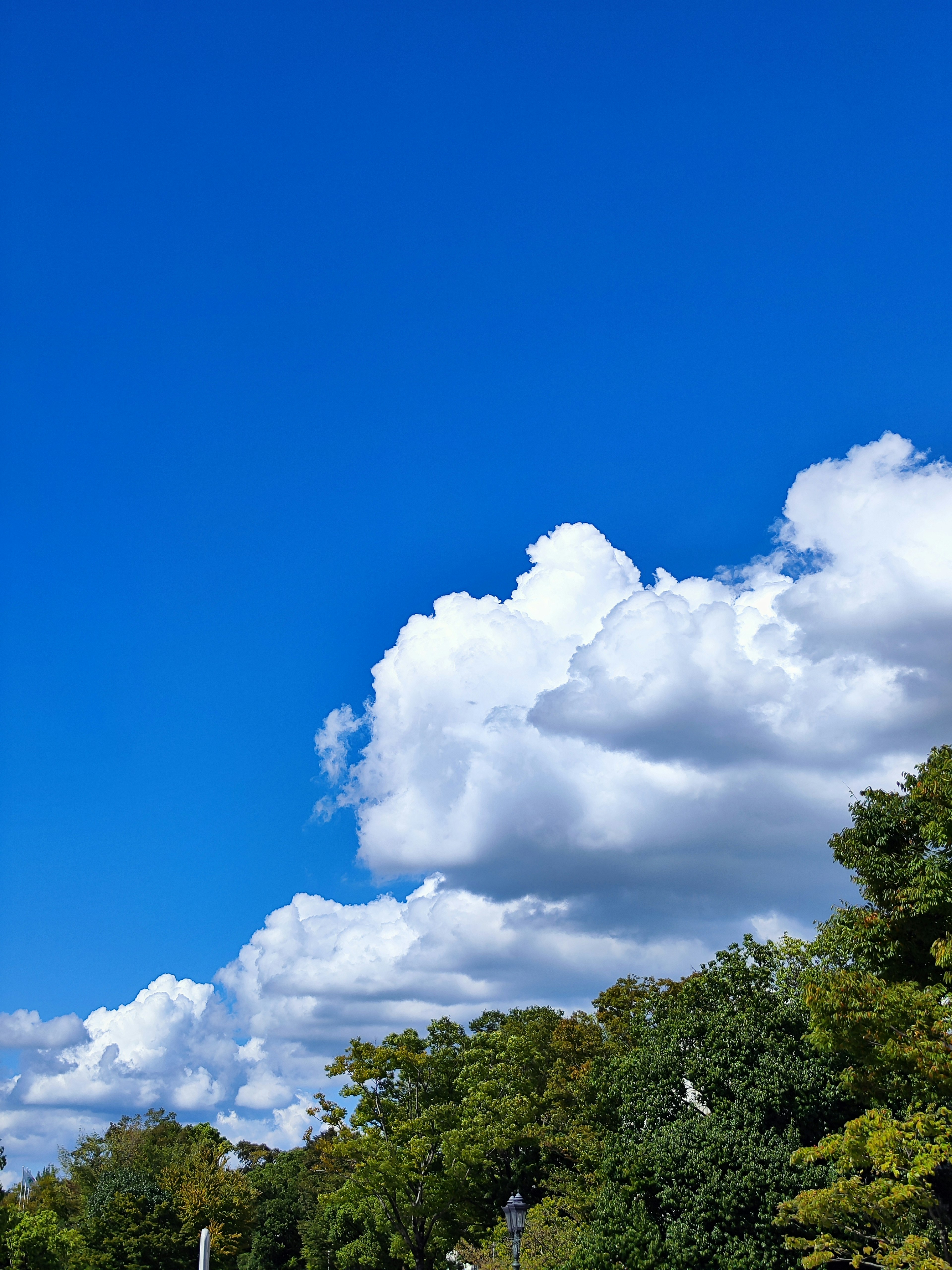 Bright blue sky with fluffy white clouds and green trees