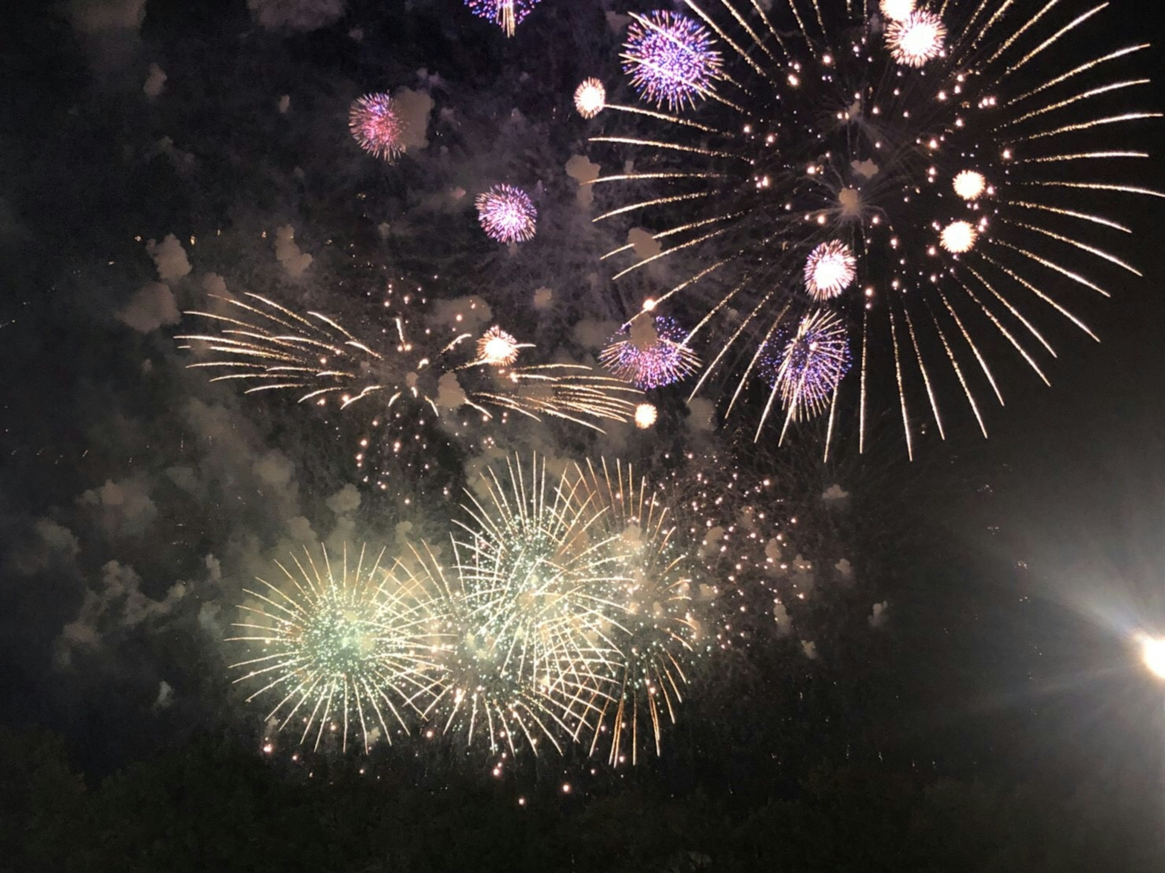 Spettacolo di fuochi d'artificio colorati nel cielo notturno