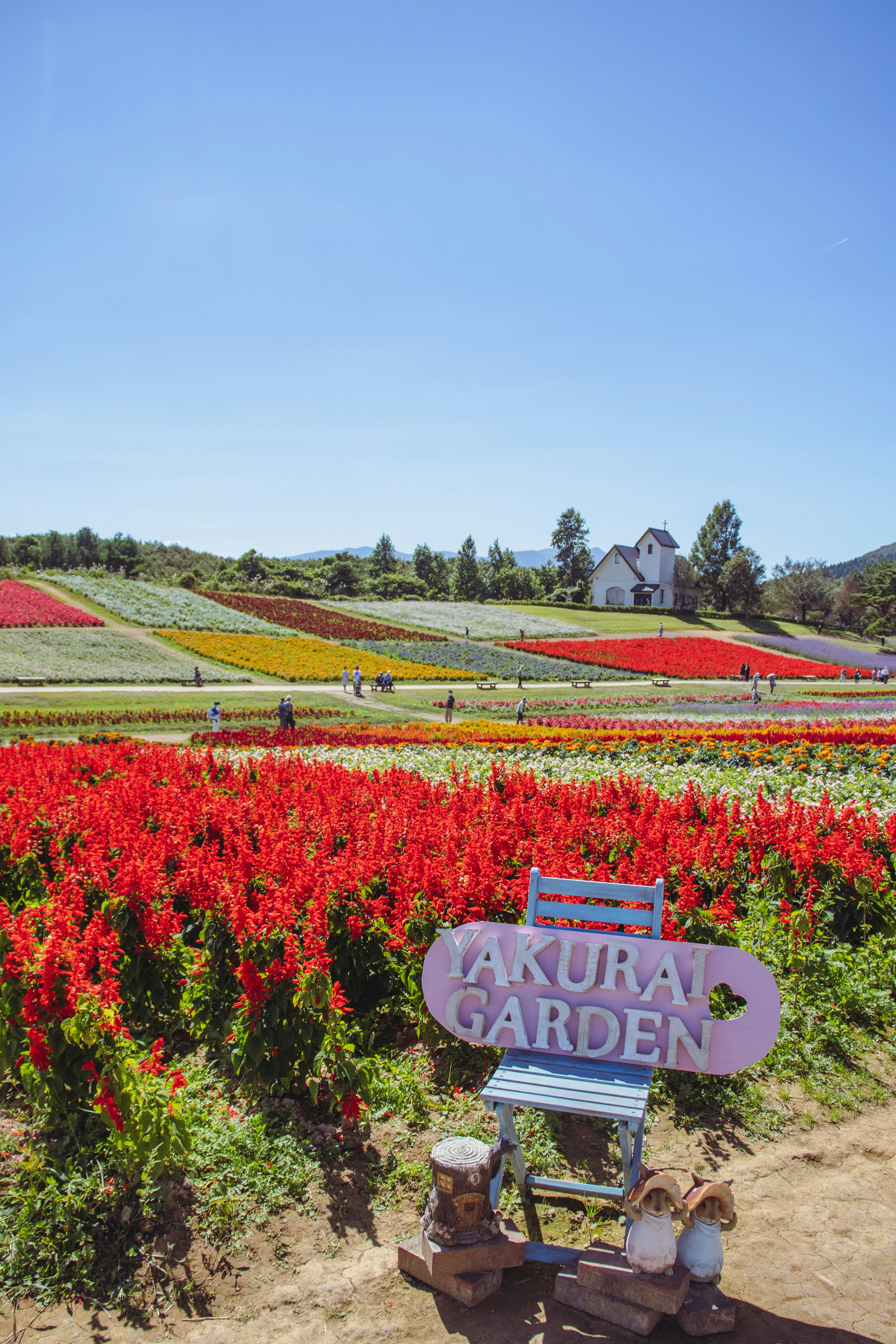 Campos de flores vibrantes en el Jardín Akuma con un letrero